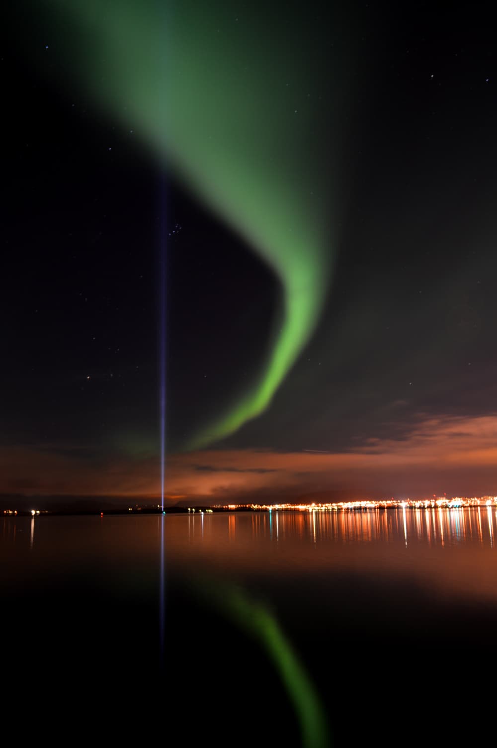 Whales & Auroras - photo 4