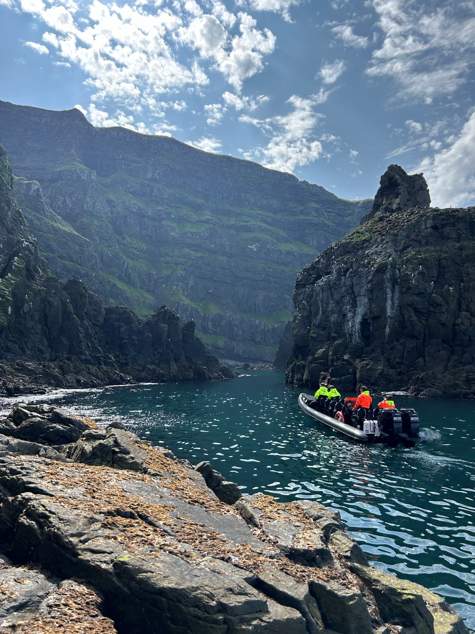 Puffin Quest - photo 2