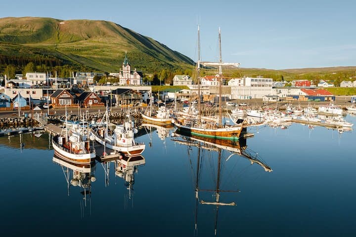 Húsavík Original Whale Watching - photo 5