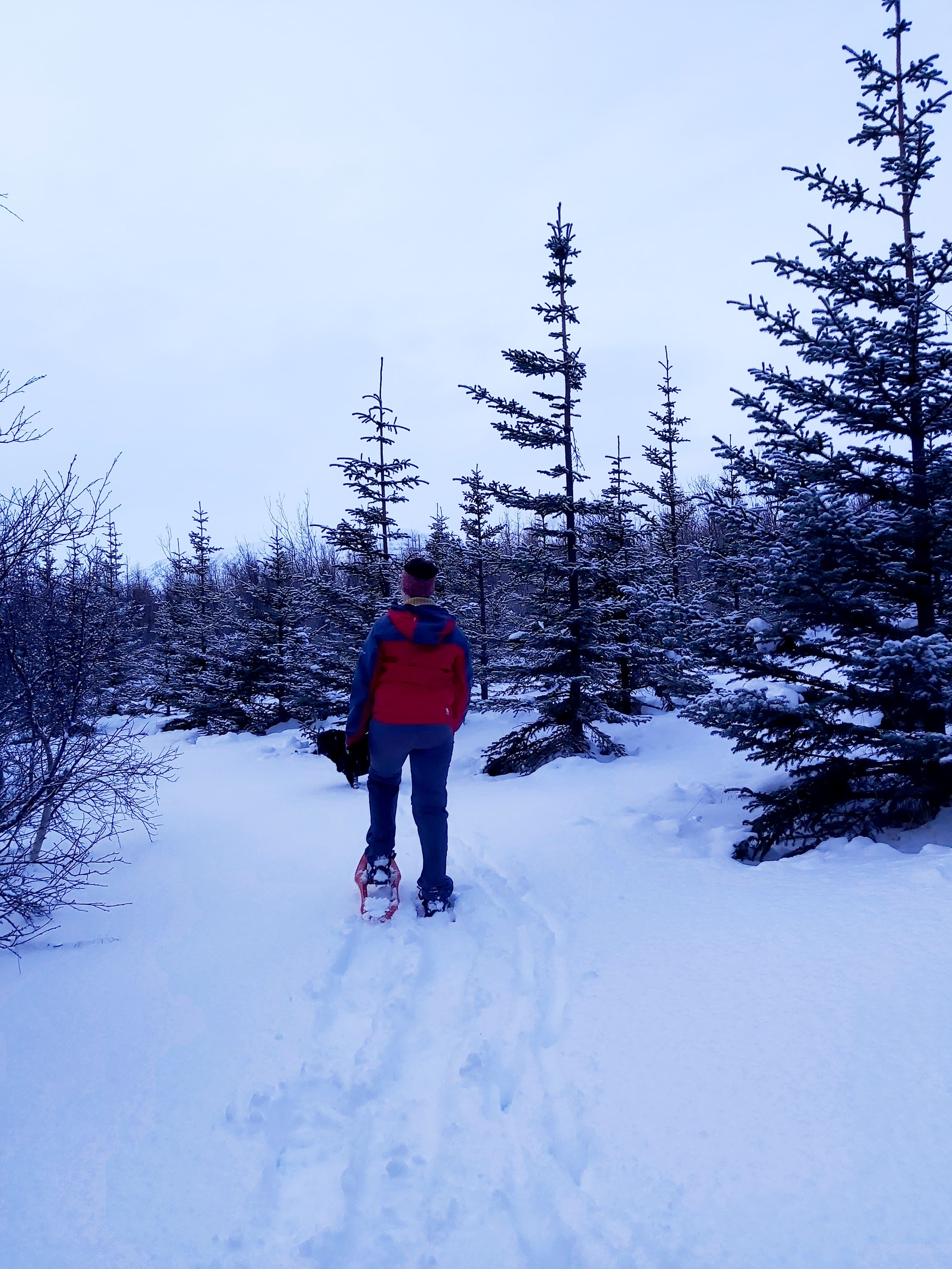 Snowshoe walking