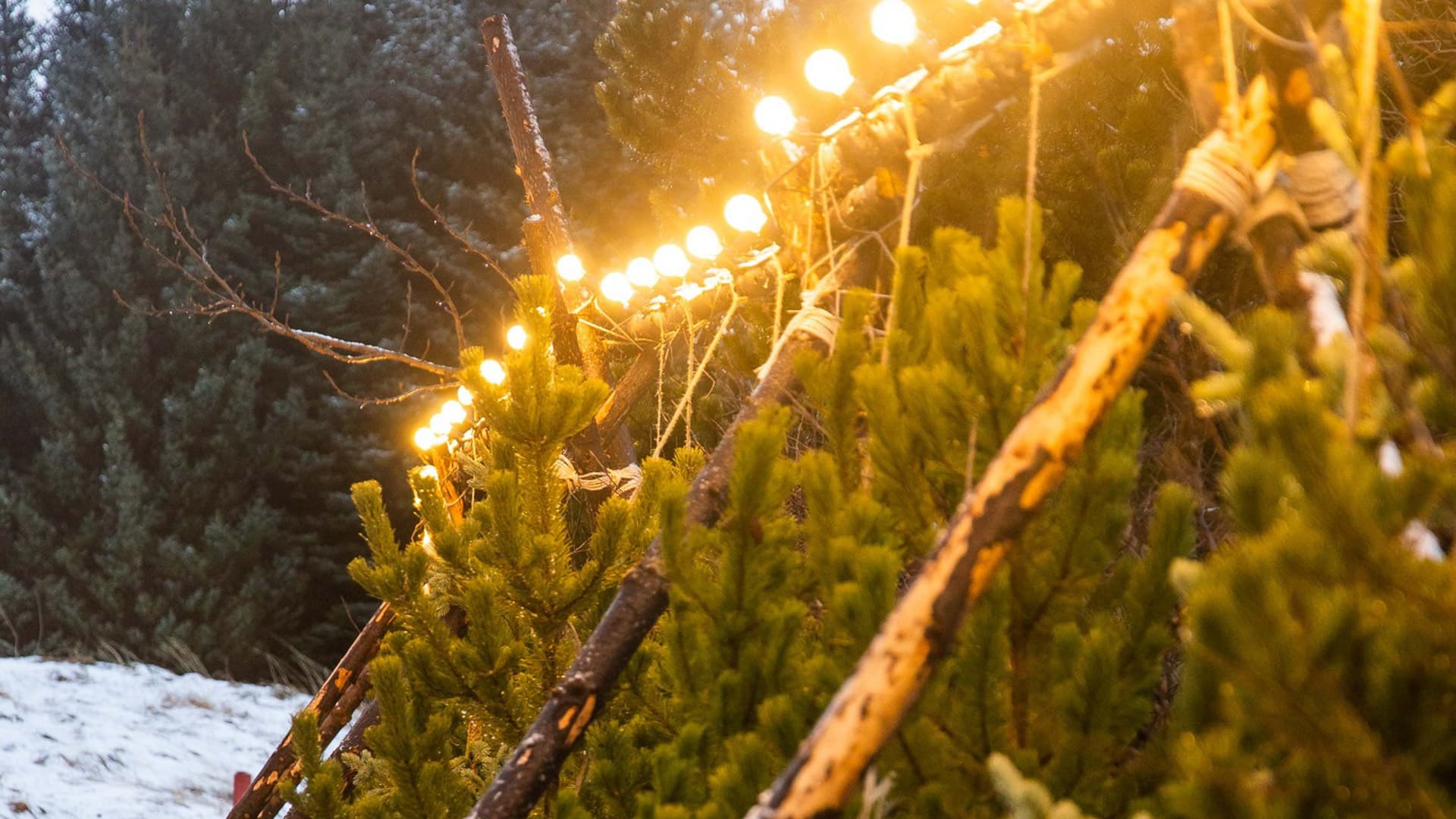 The Icelandic Christmas Advent Driving Tour - photo 8