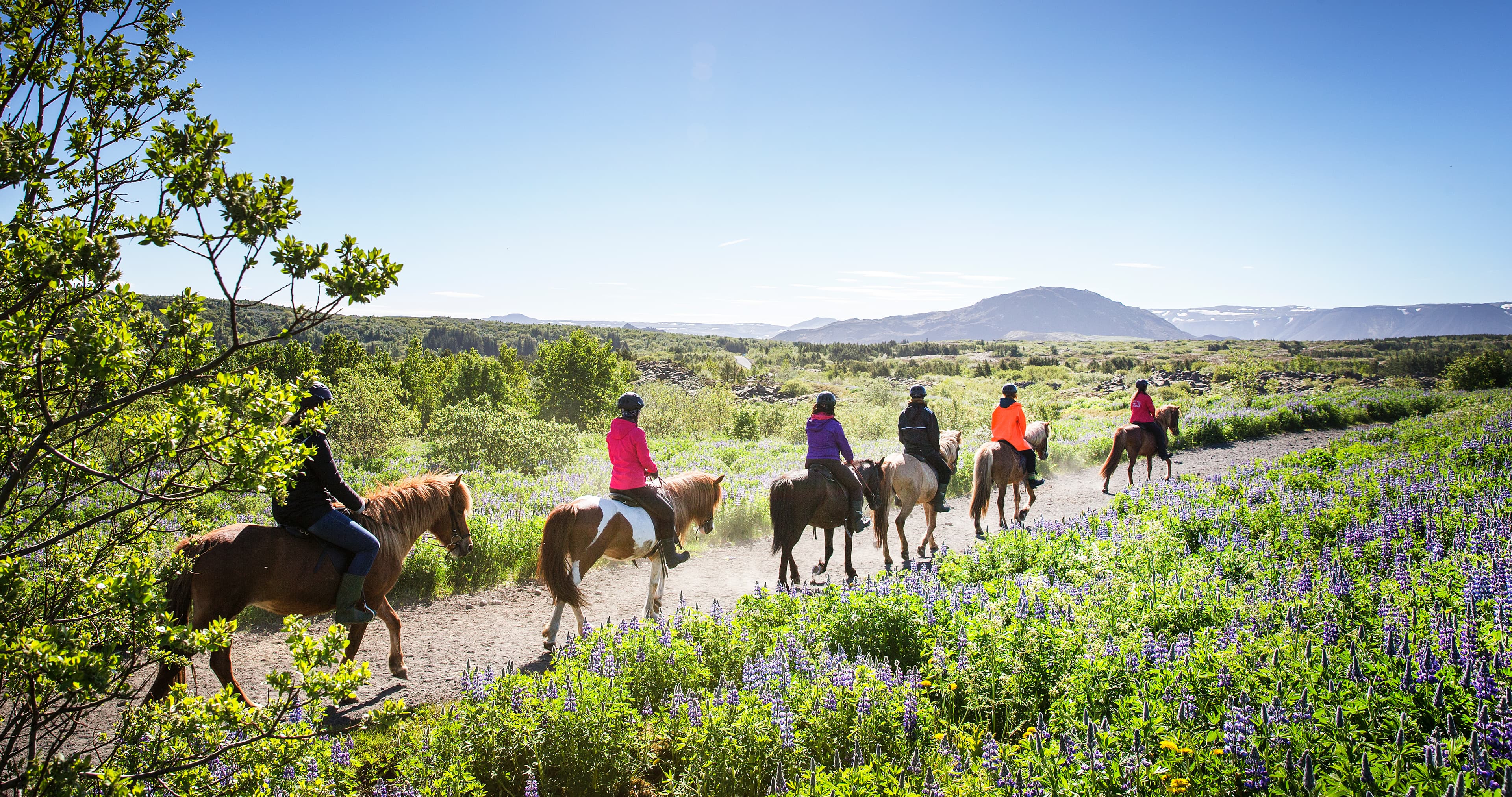 Lava Tour - Horseback Riding through the Lava Fields - photo 7