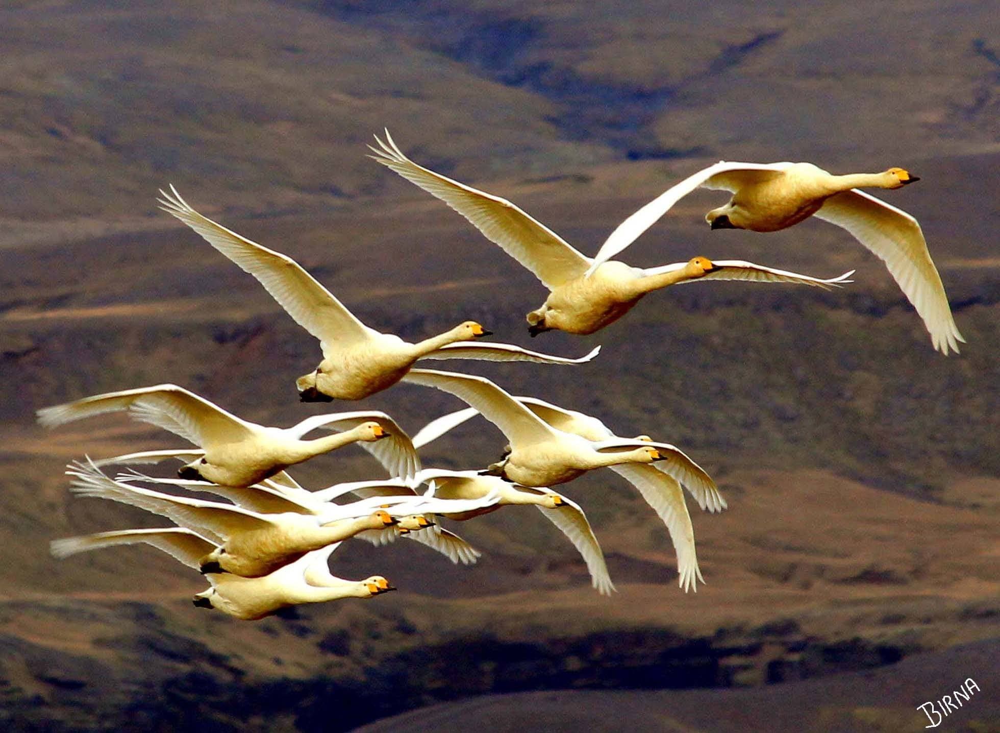 Custom Made Private Day Tour - photo 19