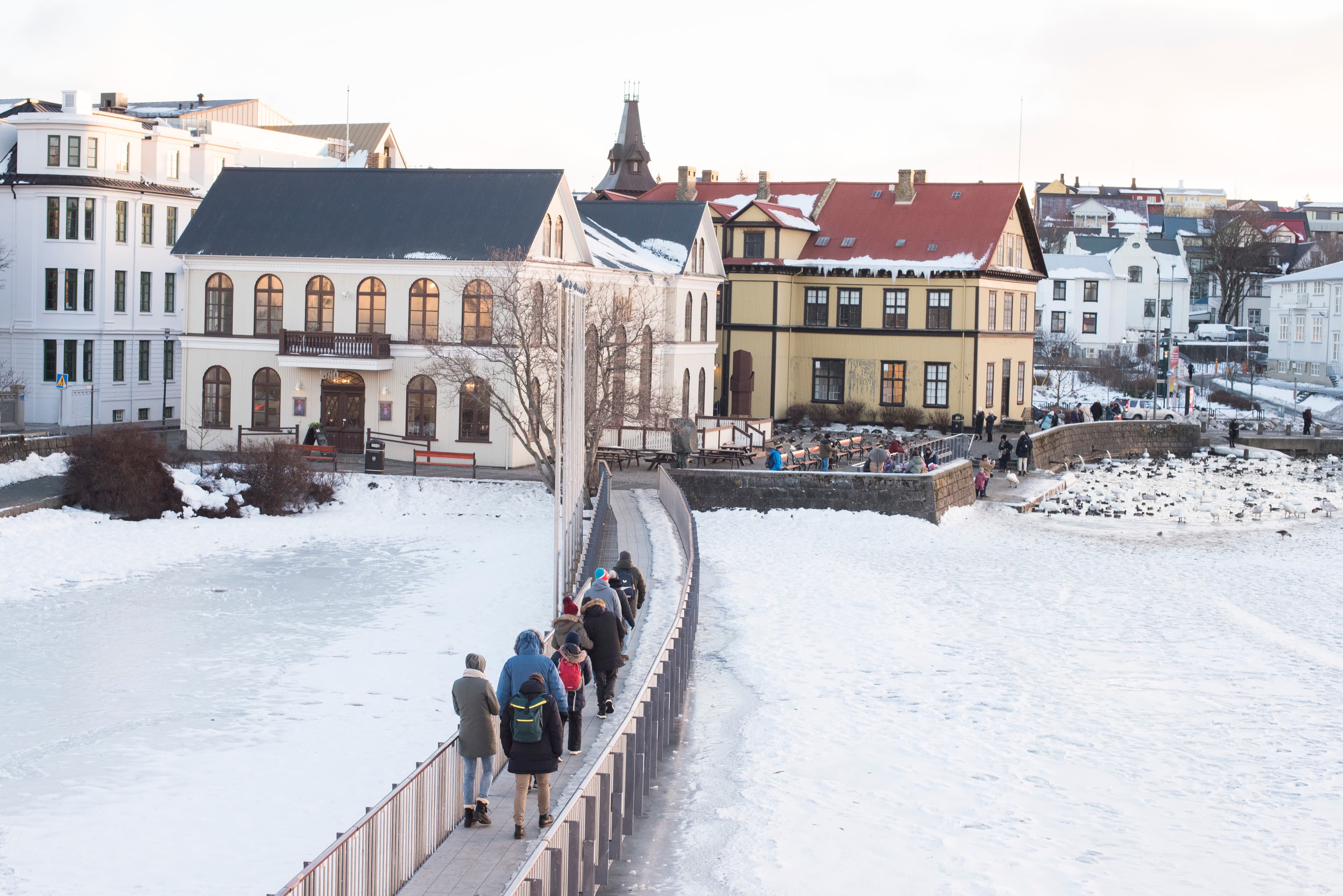 Reykjavik Walking Tour small group - CityWalk - photo 2
