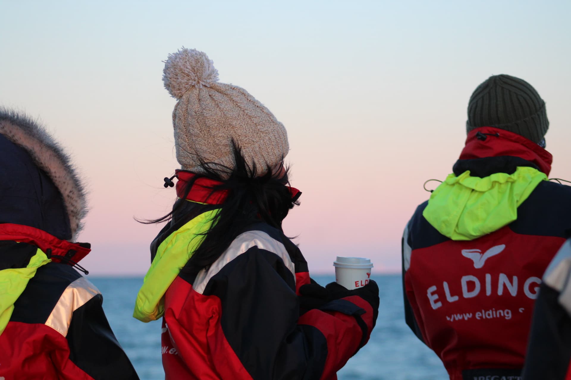 Reykjavík Classic Whale Watching  - photo 2