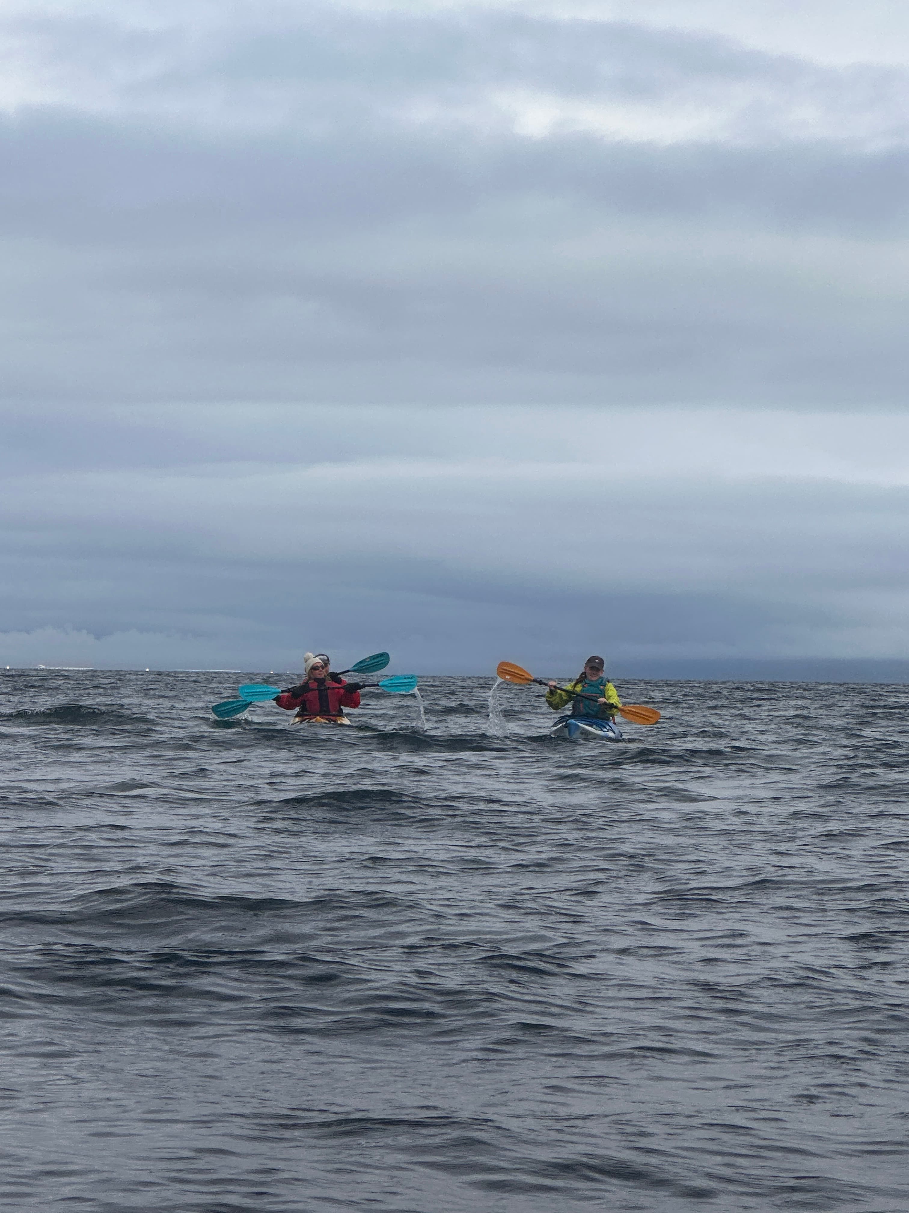Guided Kayak Tour in Árskógssandur: Explore Coastline & Wildlife - photo 11