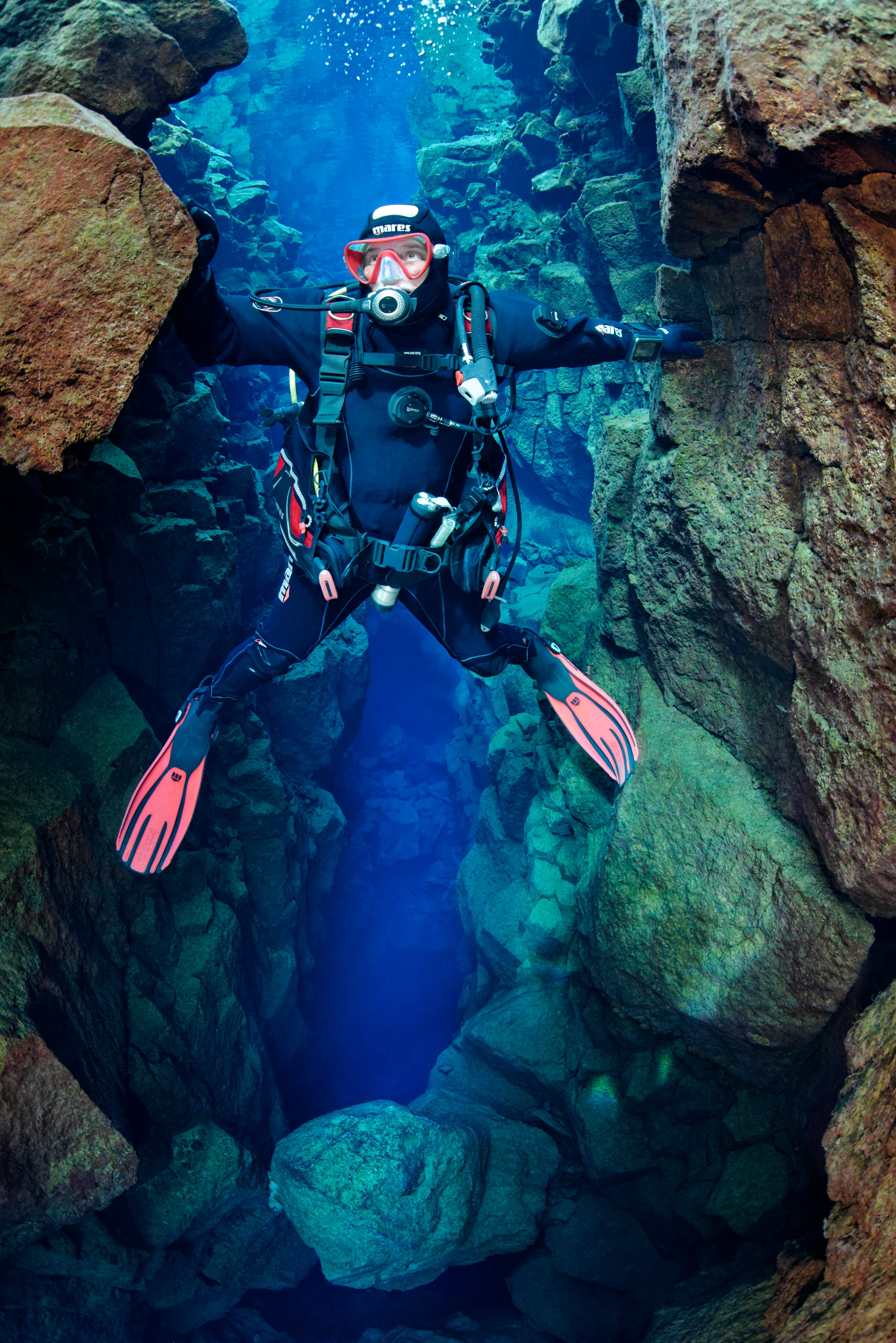Reykjavík Whales & Diving - photo 4