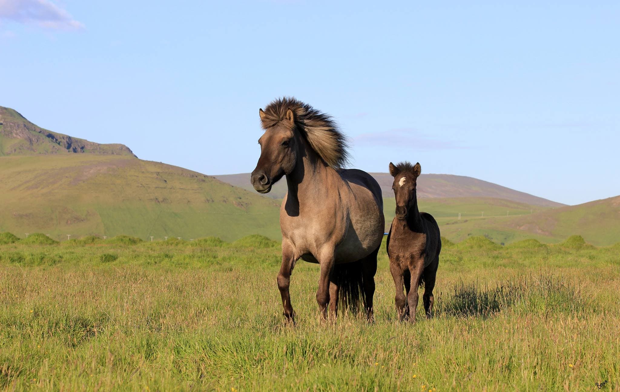 Custom Made Private Day Tour - photo 18