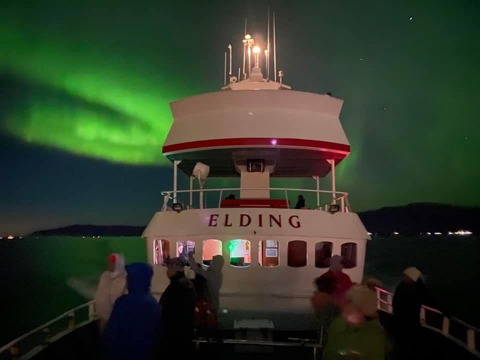 Reykjavík Northern Lights & City Cruise - photo 2