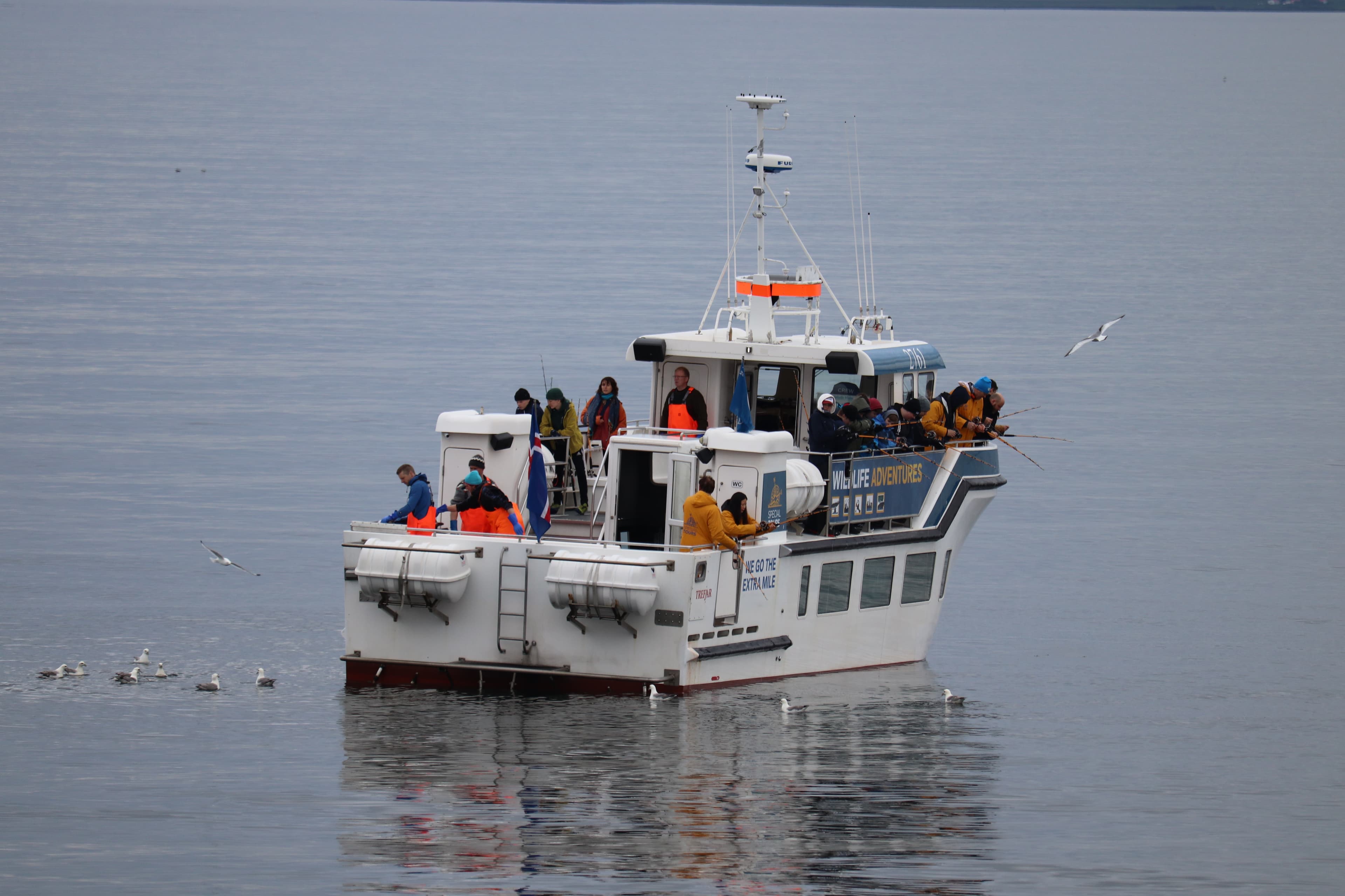 Reykjavik City Walk and Sea Angling - photo 15