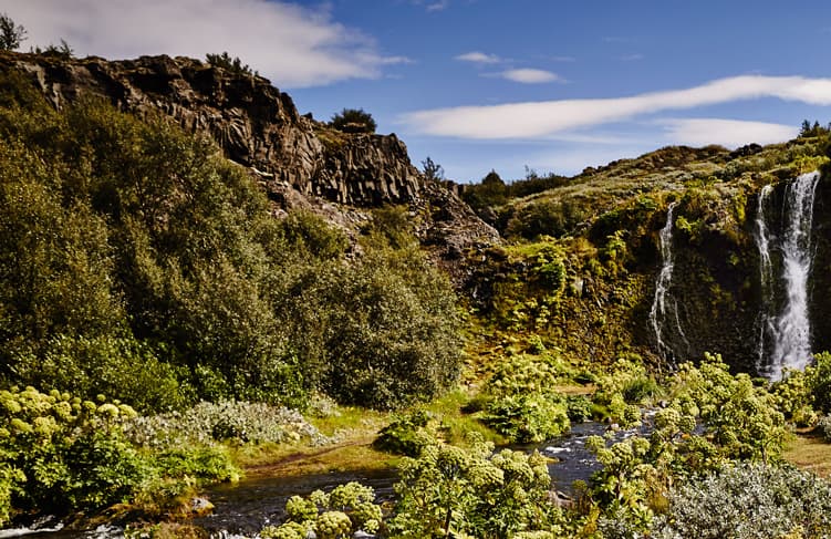 Paradise Valley & Highlands | Private Tour - photo 2