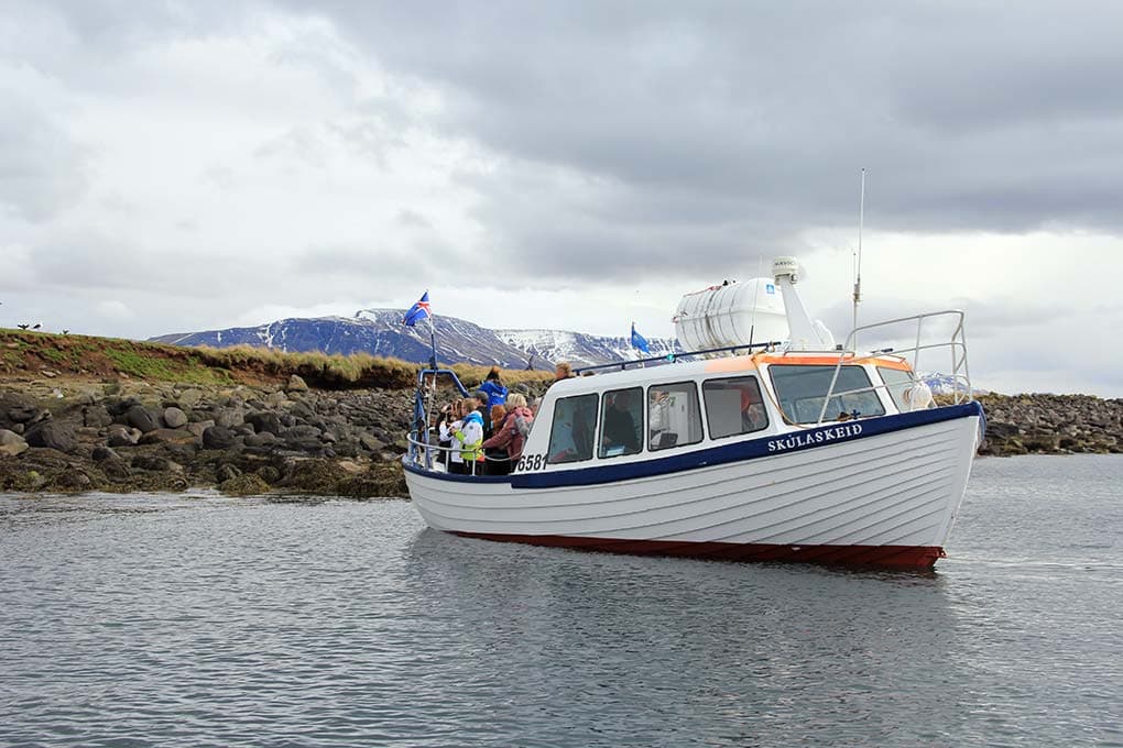 Golden Circle & Puffin Tour