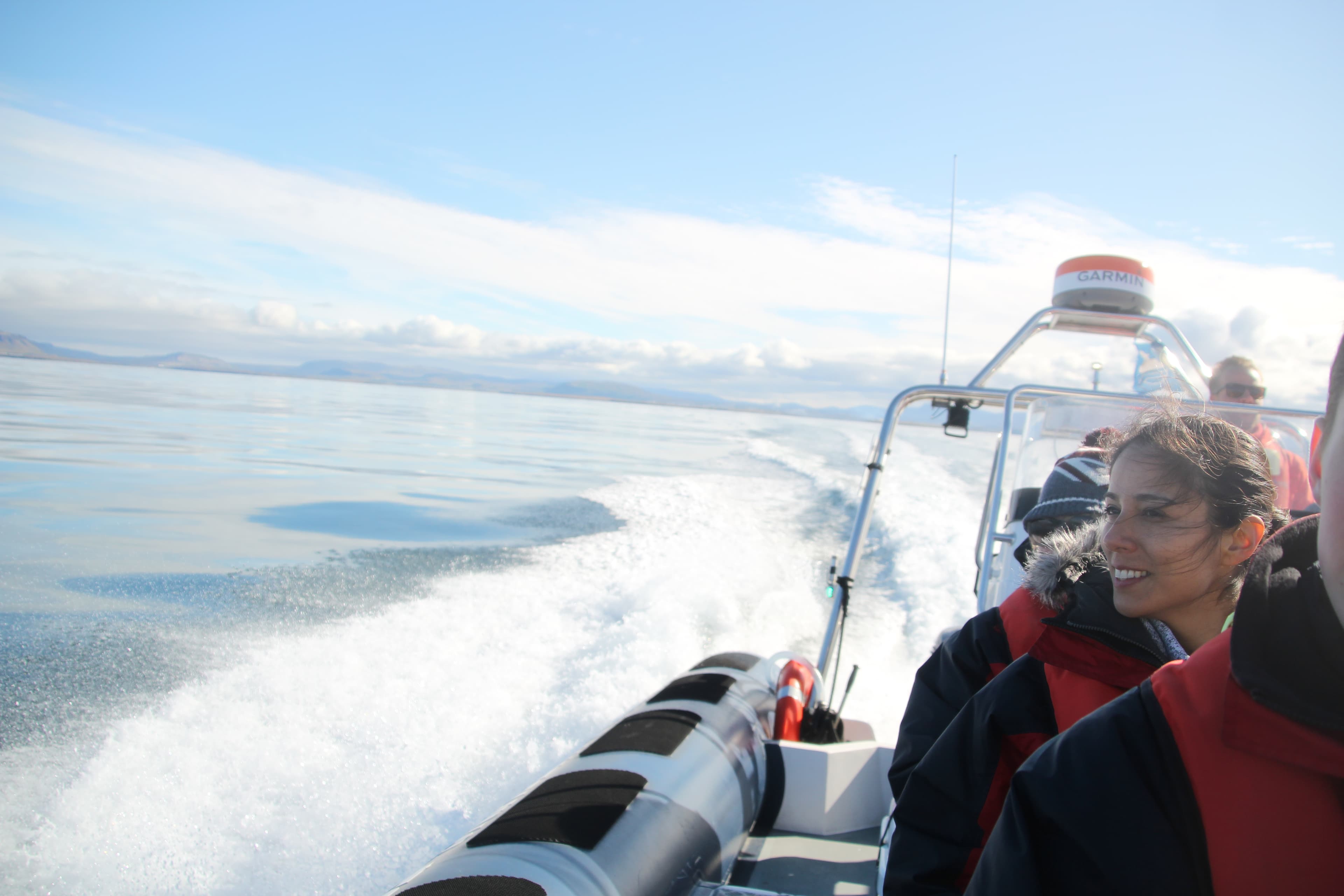 Whales, Puffins & Reykjavík - photo 15