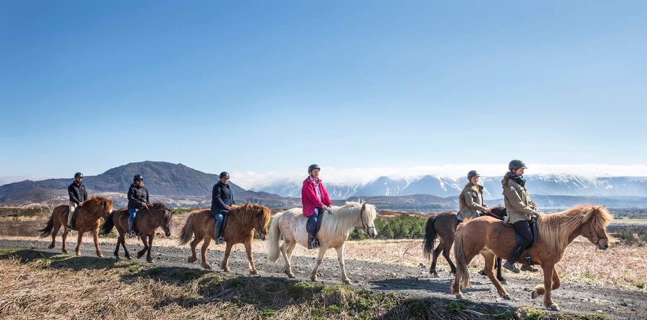 Lava Tour - Horseback Riding through the Lava Fields - photo 8