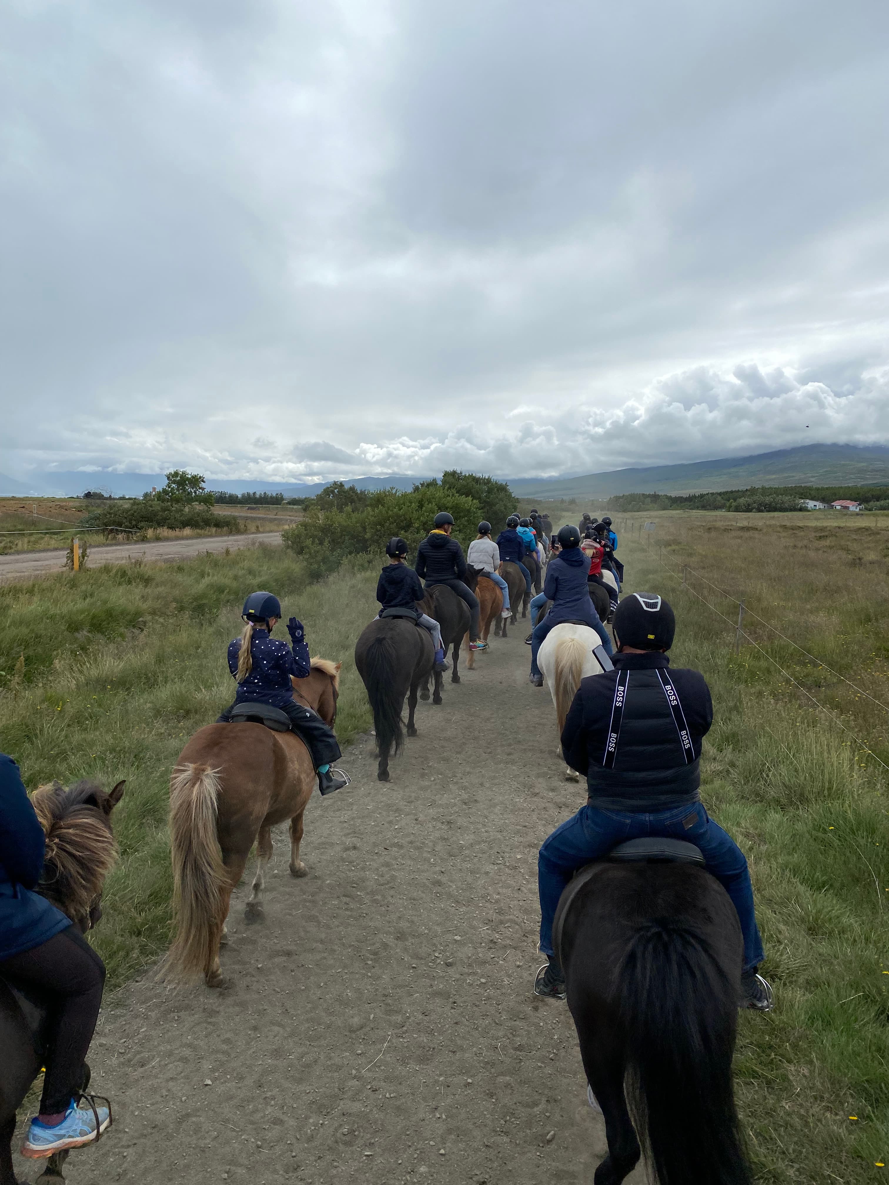 Horse Riding Tour and Explore Scenery in Gásir Akureyri - photo 17
