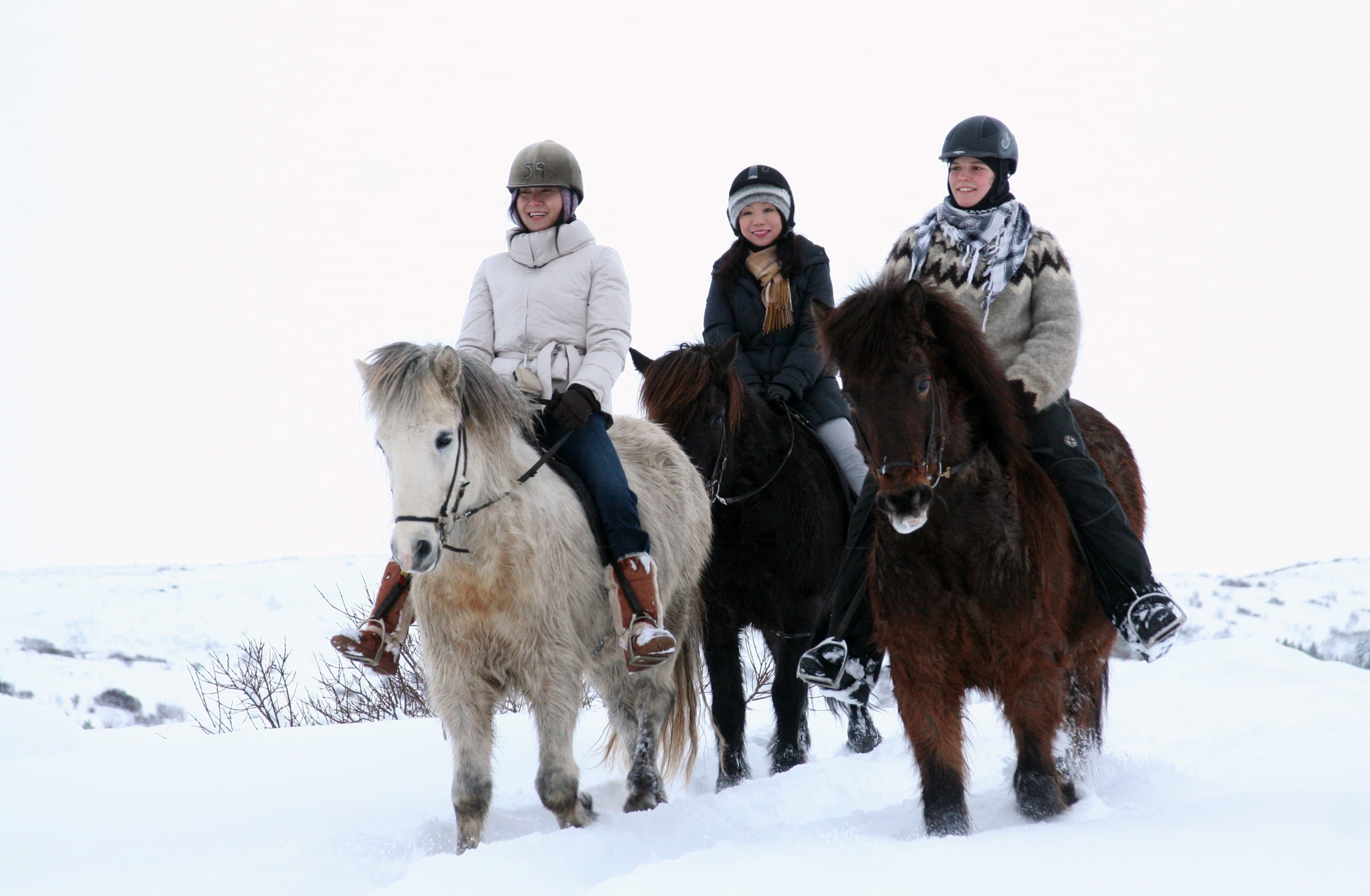 Lava Tour - Horseback Riding through the Lava Fields - photo 14