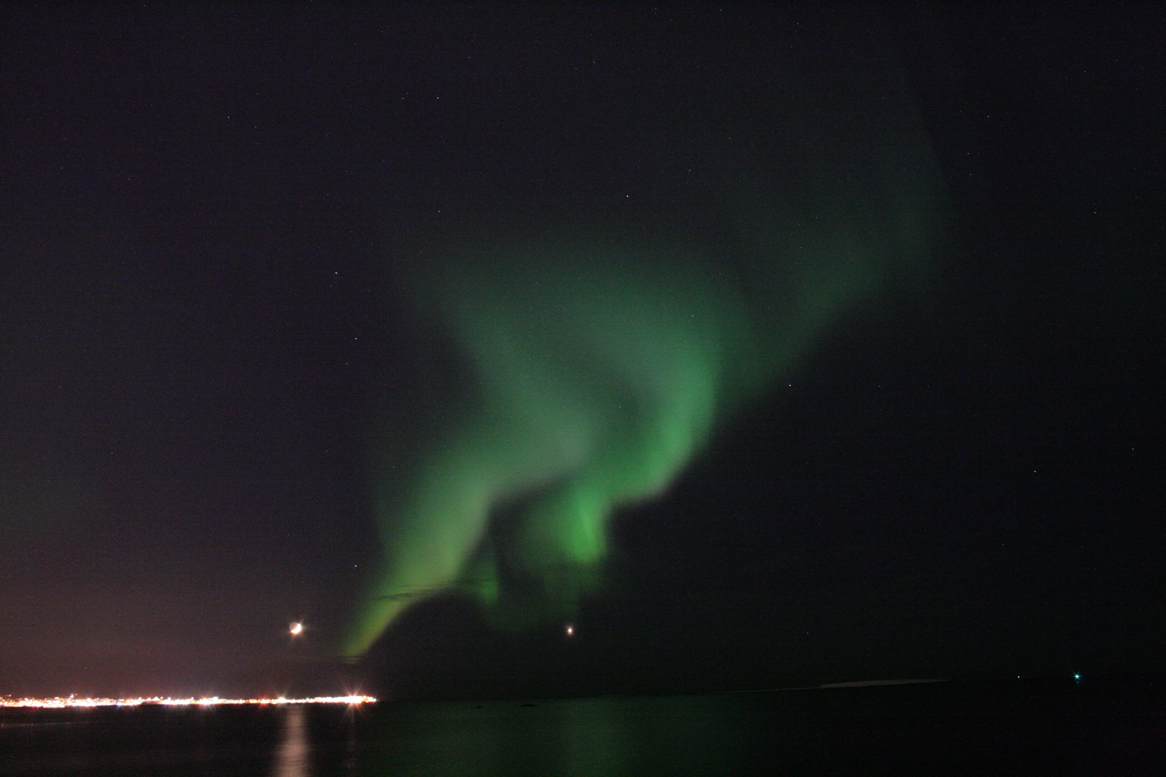 Whale Watching & Northern lights Combo Cruise from Reykjavik - photo 90