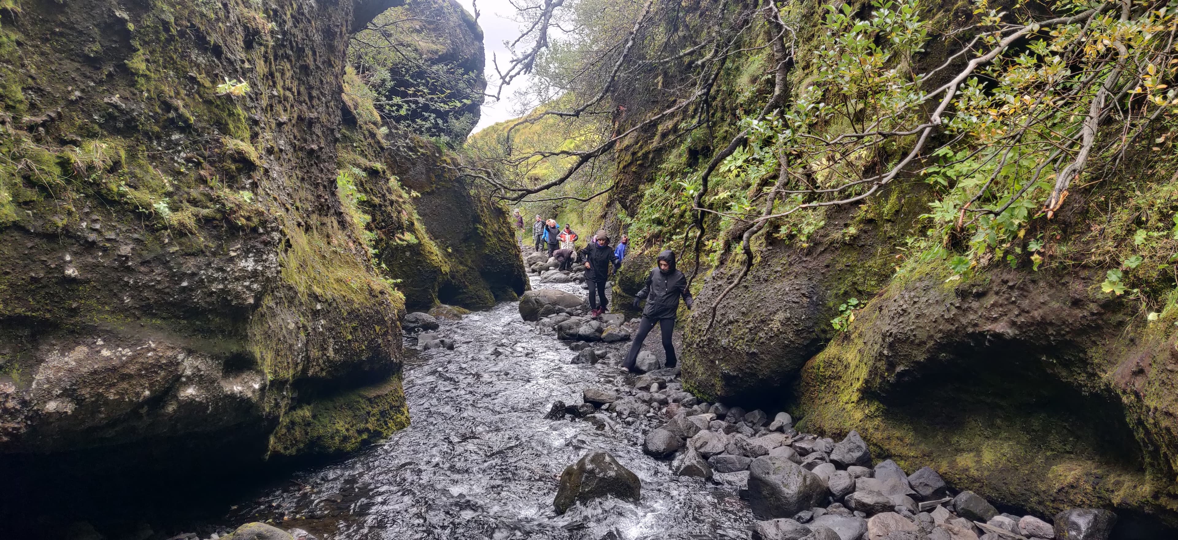 Private Day tour, you decide!  - photo 27