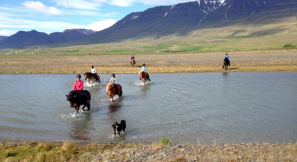 River Delta - photo 8