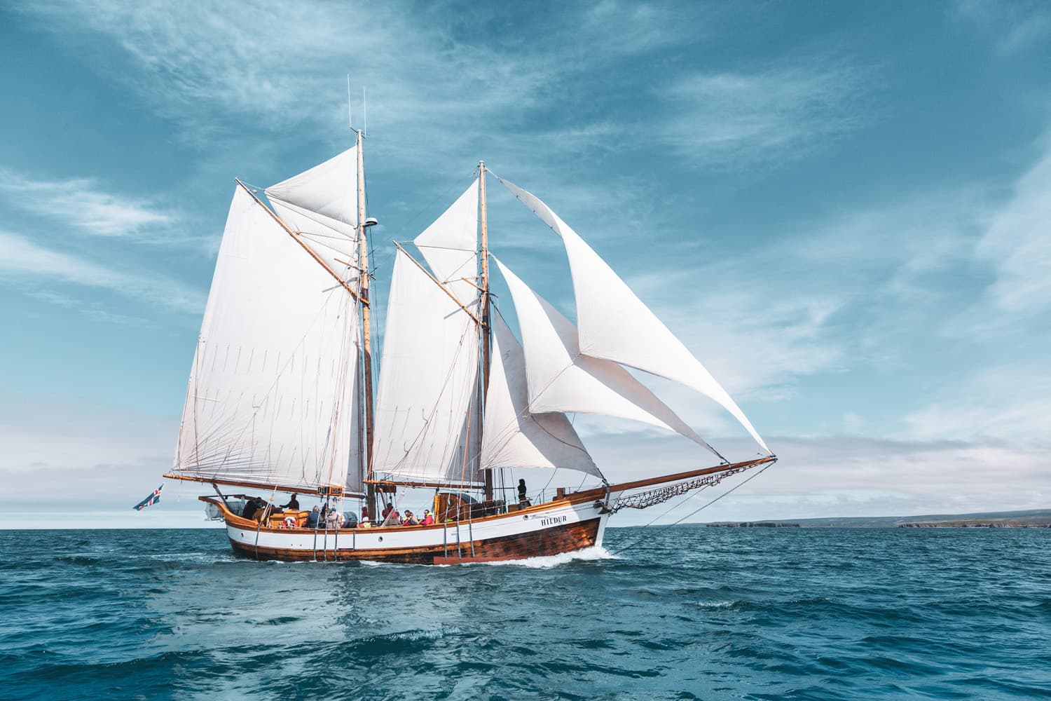 Whales and Sails - photo 7