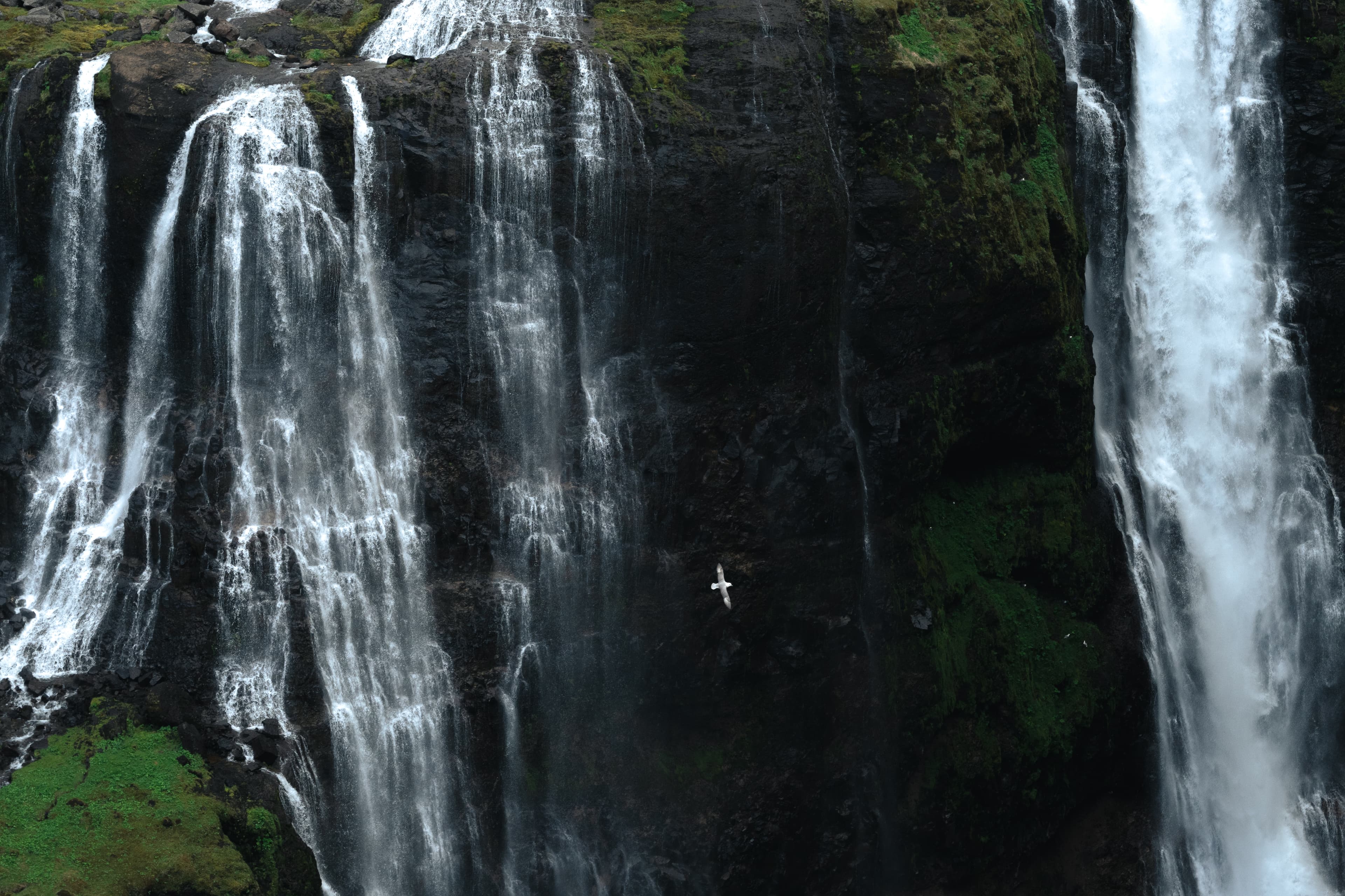 Private Hiking Tour to Glymur Waterfall: Minivan Transfer - photo 21
