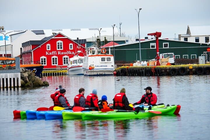 Guided kayak tour in Siglufjörður / Siglufjordur. - photo 3