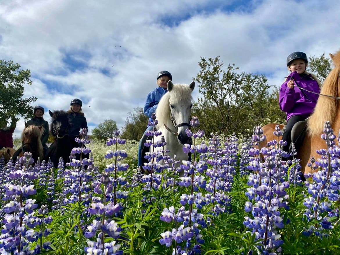 Viking Horses Mjölnir Afternoon Tour - photo 2
