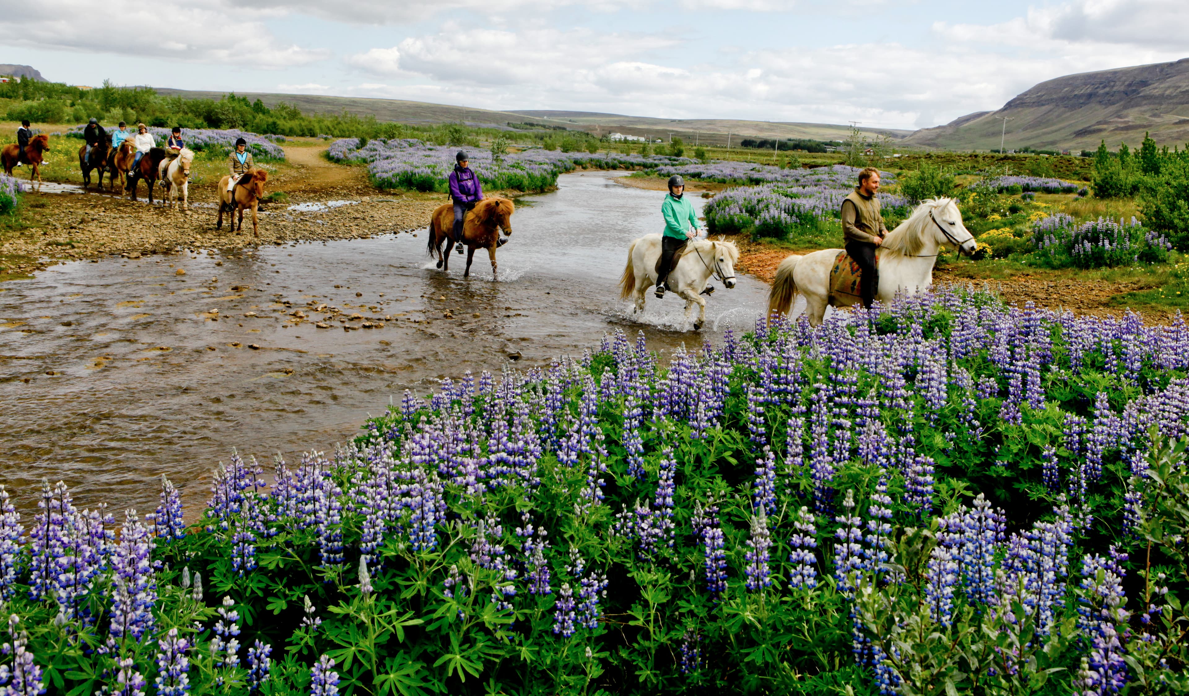 Horse Riding & Snorkeling