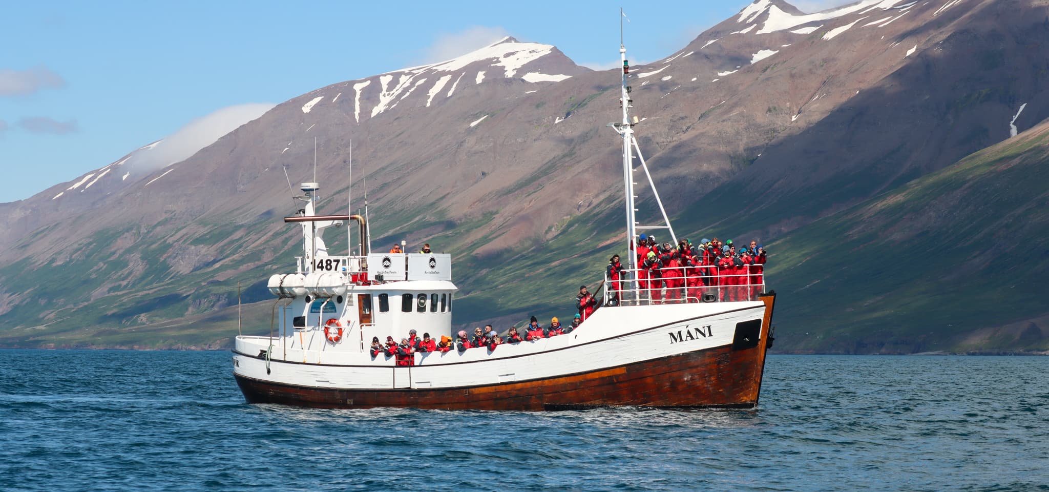 Classic Whale Watching from Dalvík - photo 7