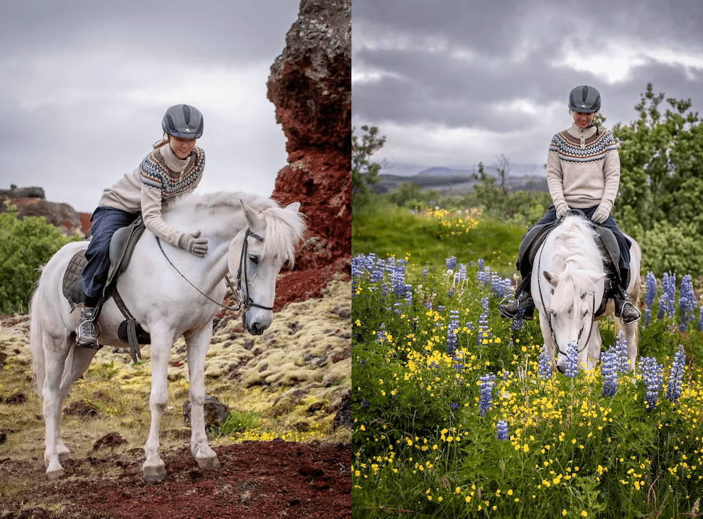 Viking Horses Morning Tour - photo 10