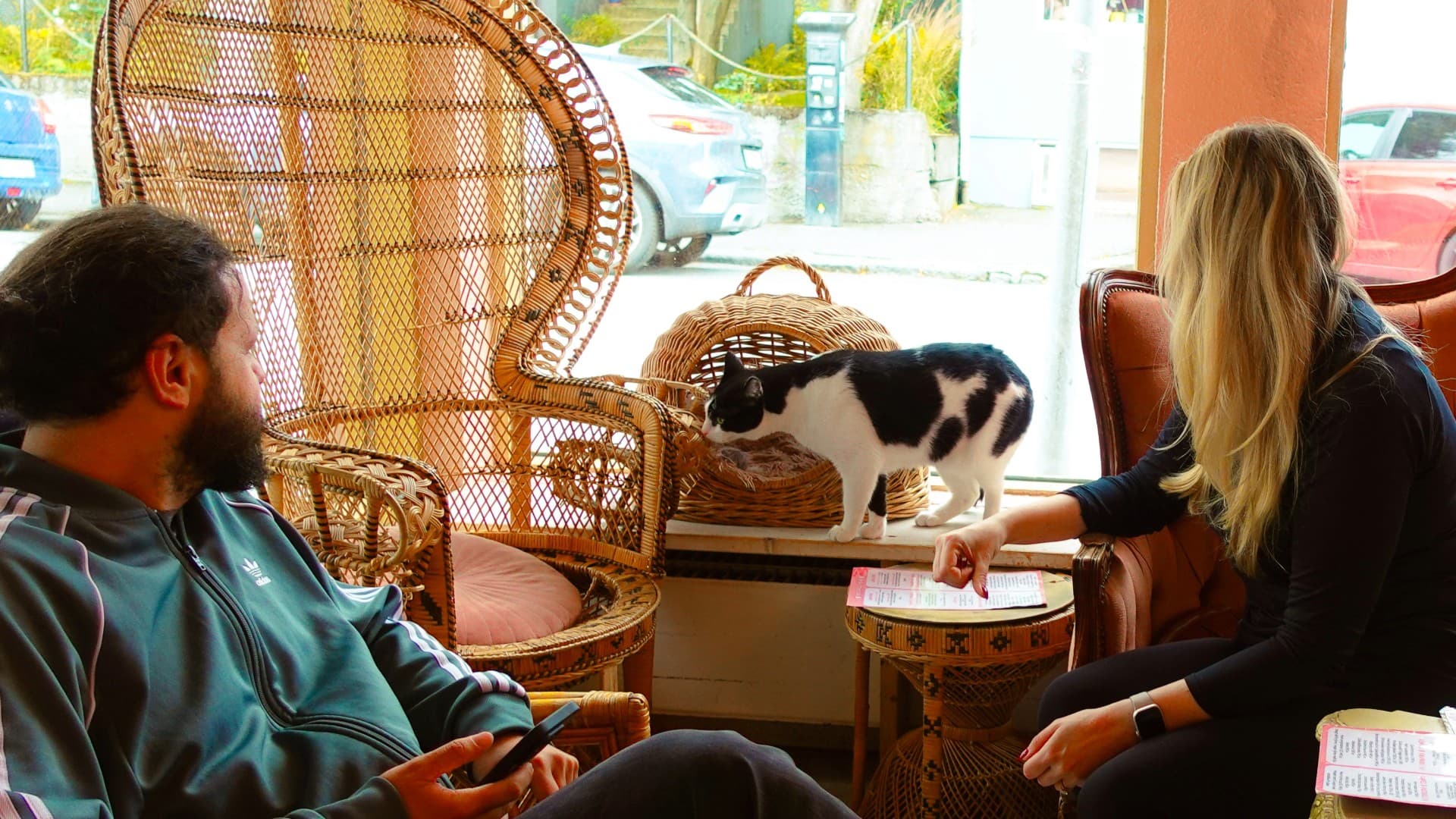 The Reykjavik CatWalk - photo 25