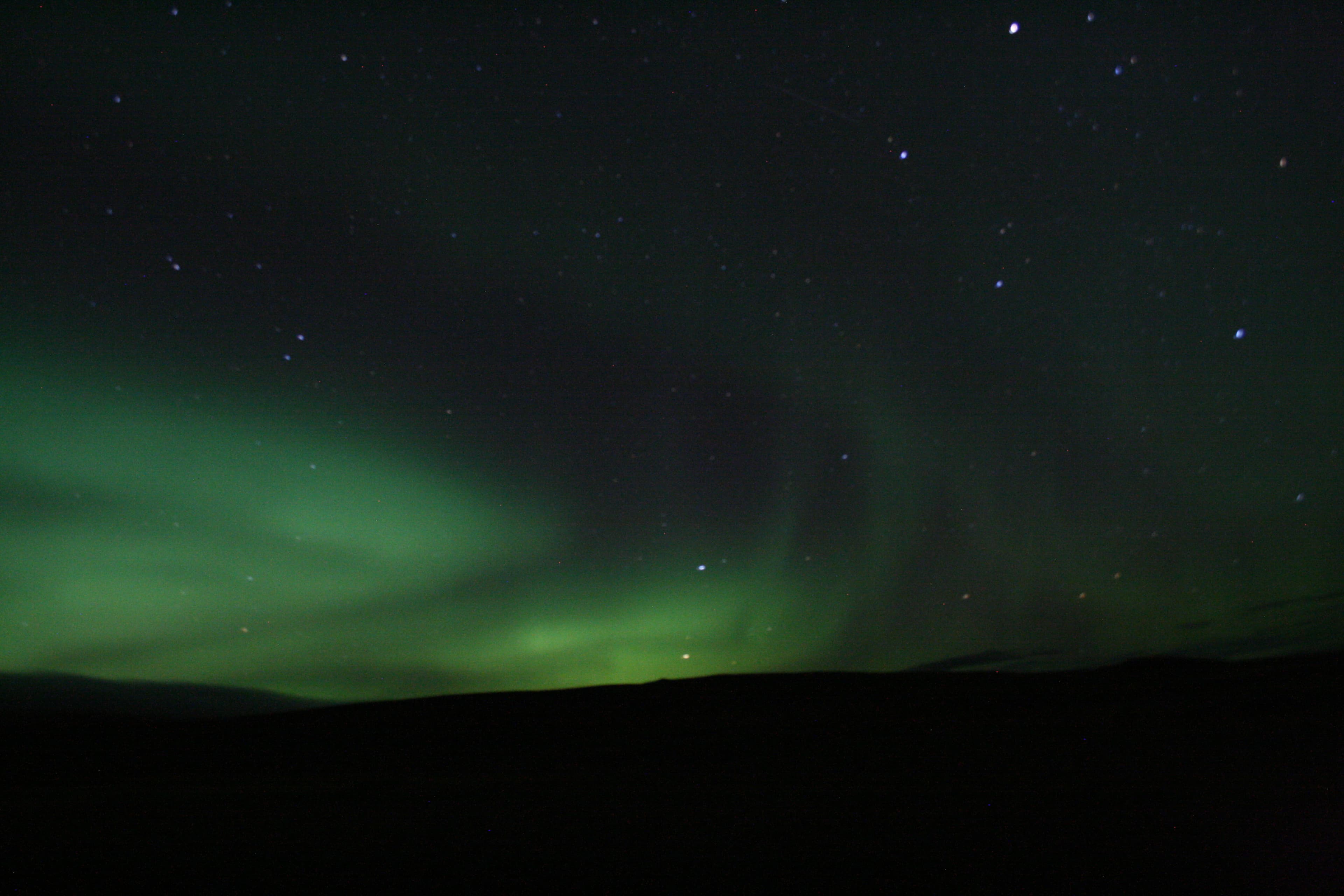 Whale Watching & Northern lights Combo Cruise from Reykjavik - photo 72