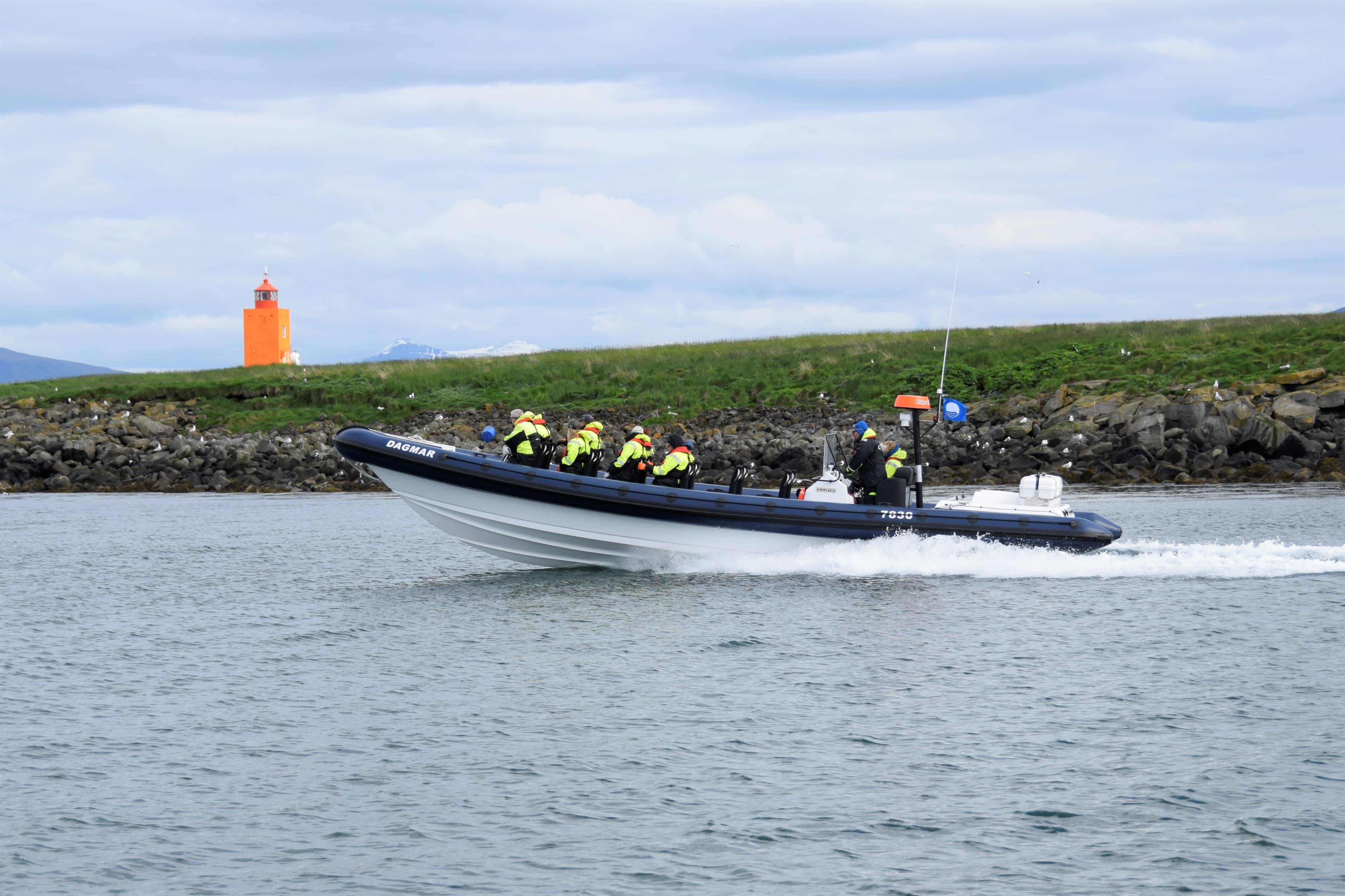 Puffin Express by RIB Speedboat - photo 5