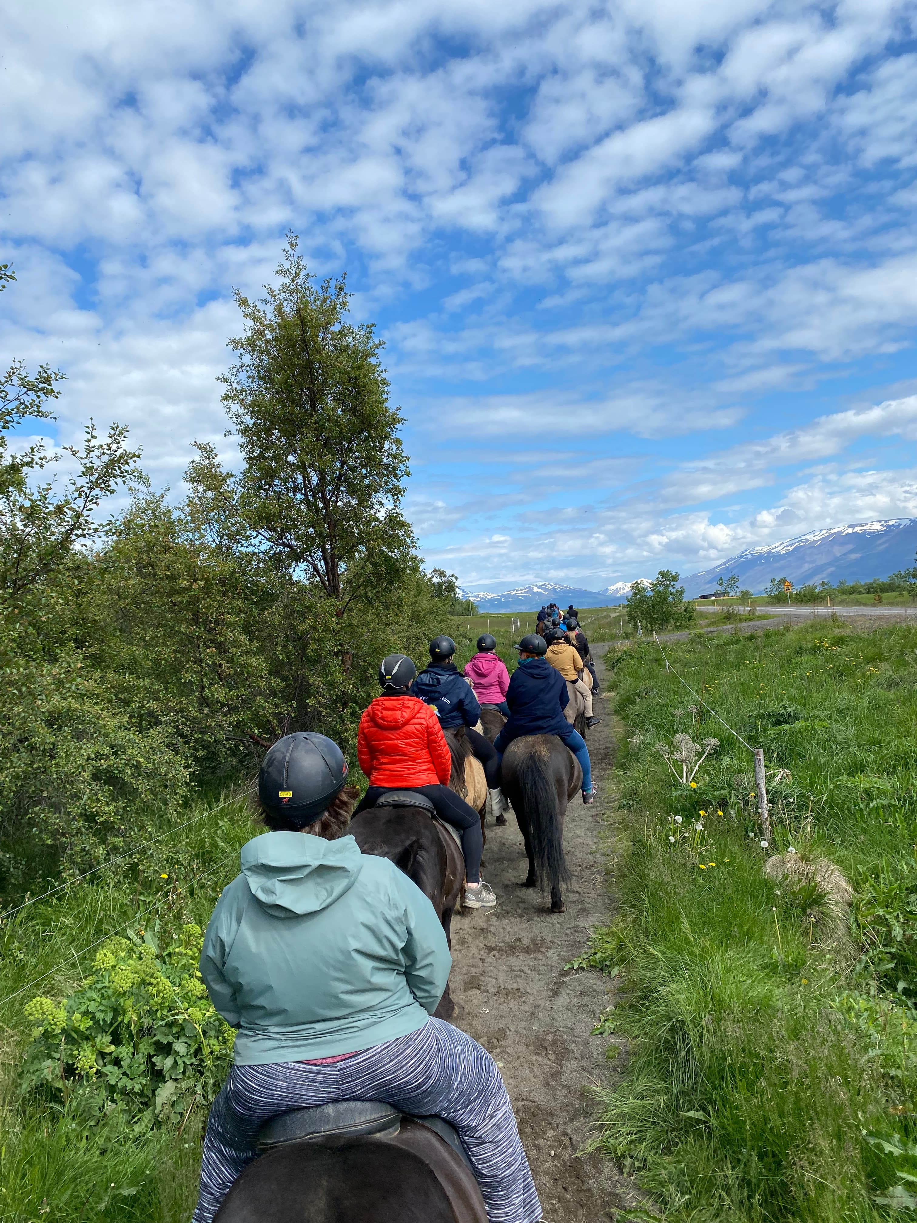 Horse Riding Tour and Explore Scenery in Gásir Akureyri - photo 14