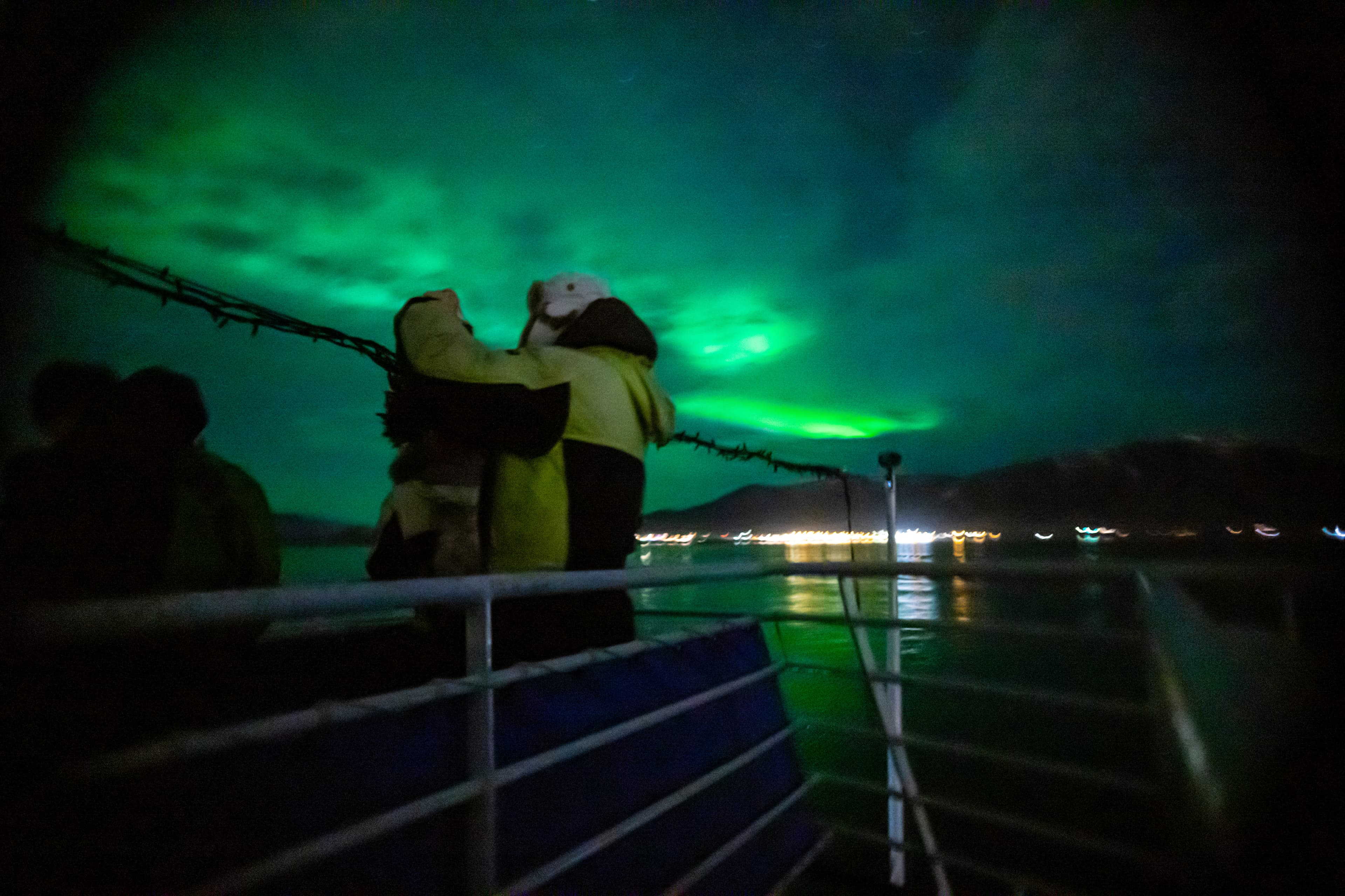 Whale Watching & Northern lights Combo Cruise from Reykjavik - photo 3