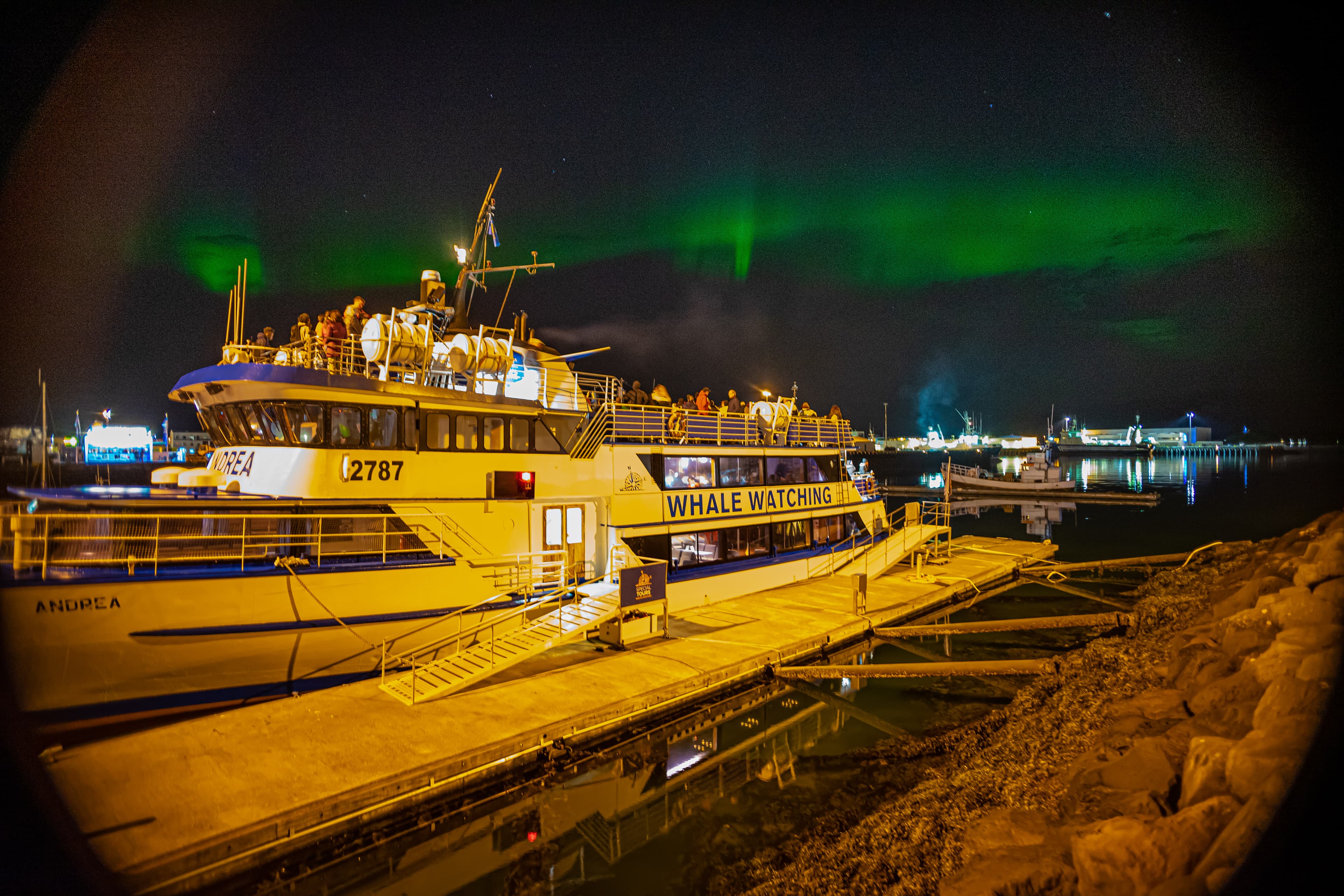 Golden Circle & Northern Lights by Boat Combo Tour - photo 30