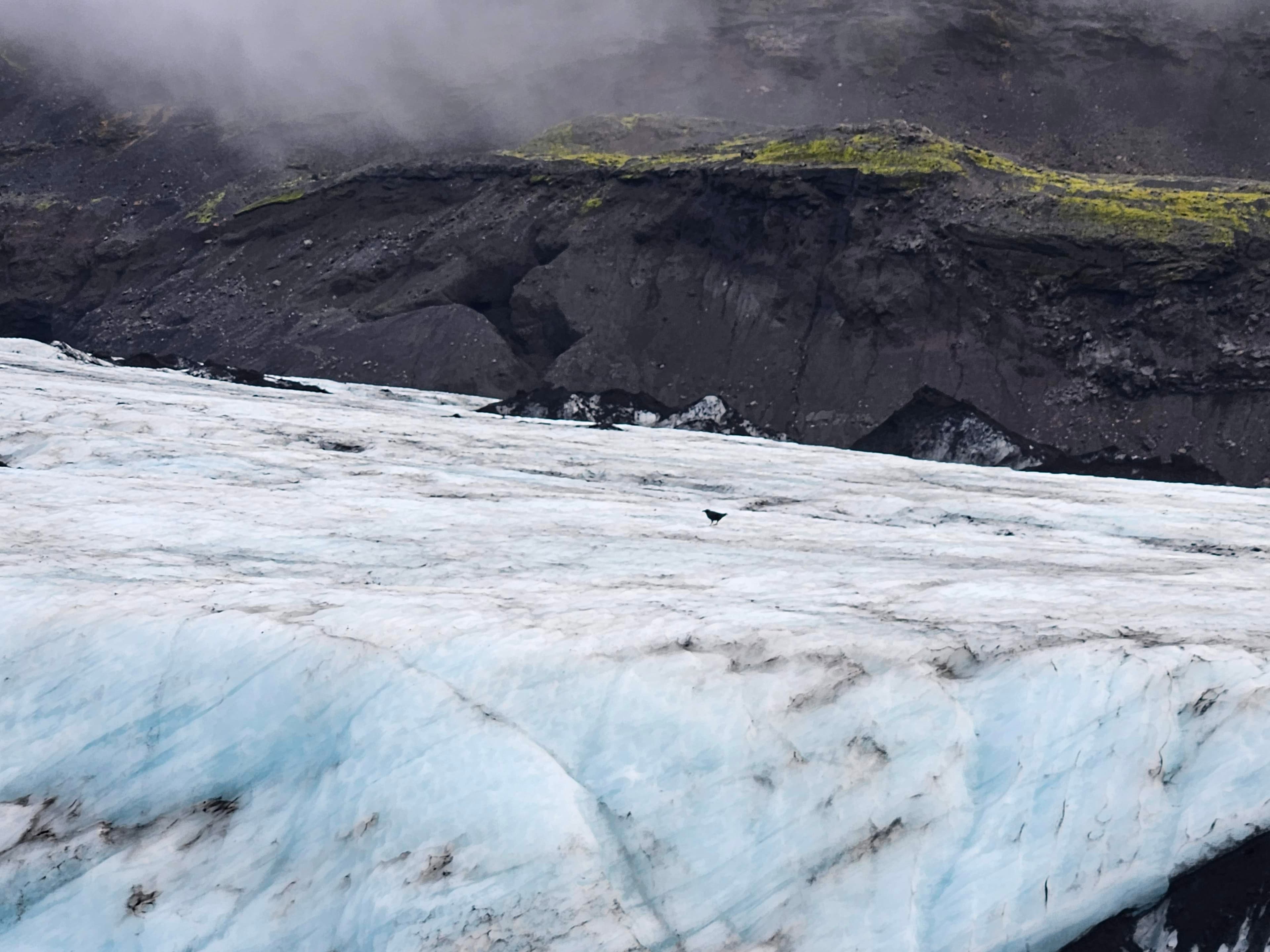 Private South Coast and Glacier Hike for Families & Kids - photo 13