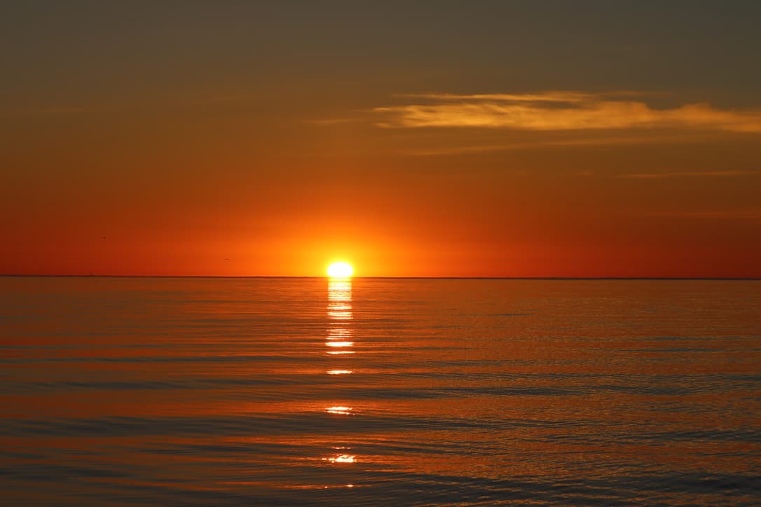 Midnight Sun Whale Watching - photo 11
