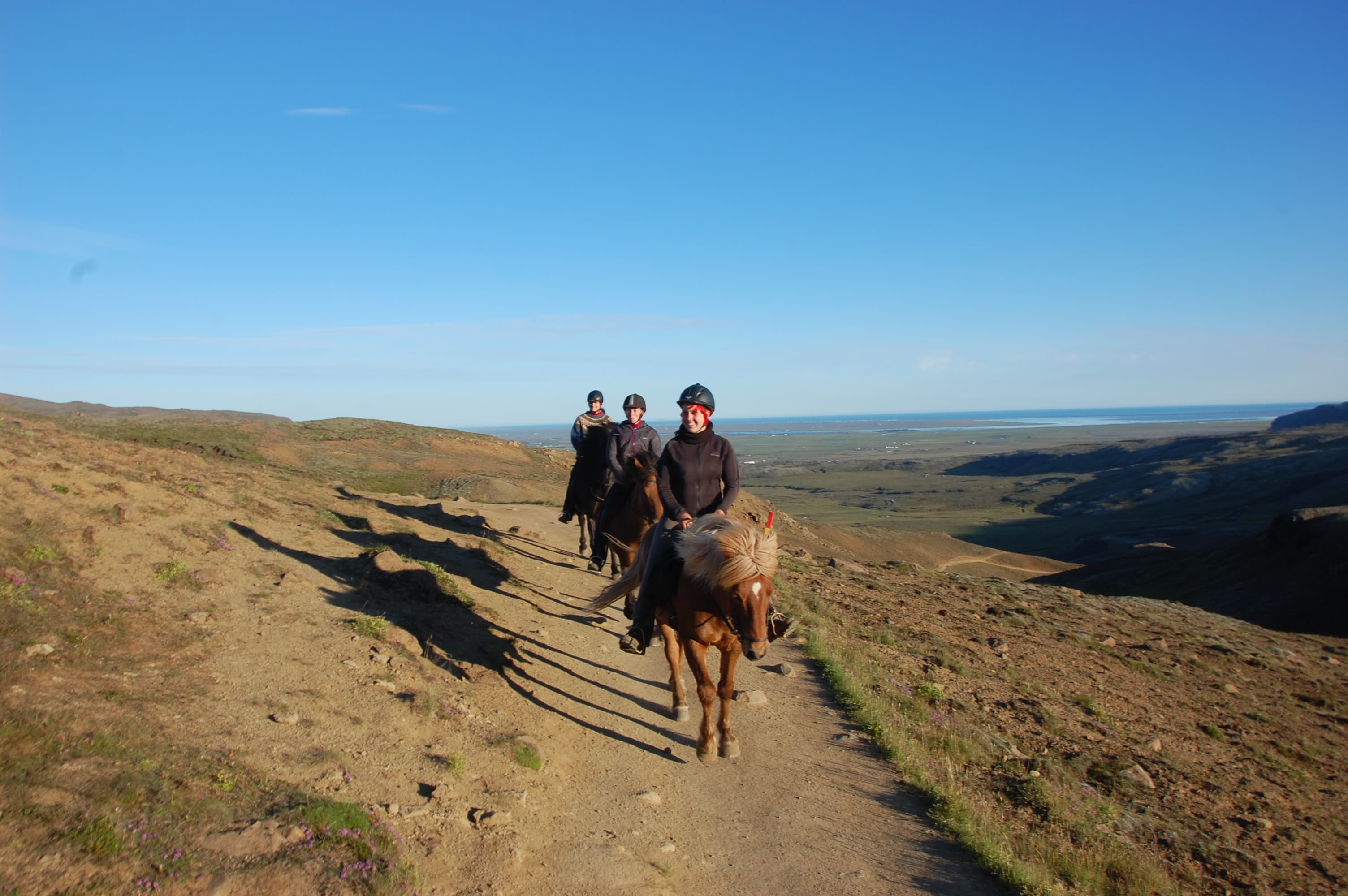 Into The Hot Spring Valley - Horseback ride & bathe (small groups guarantee) - Reykjadalur - photo 4