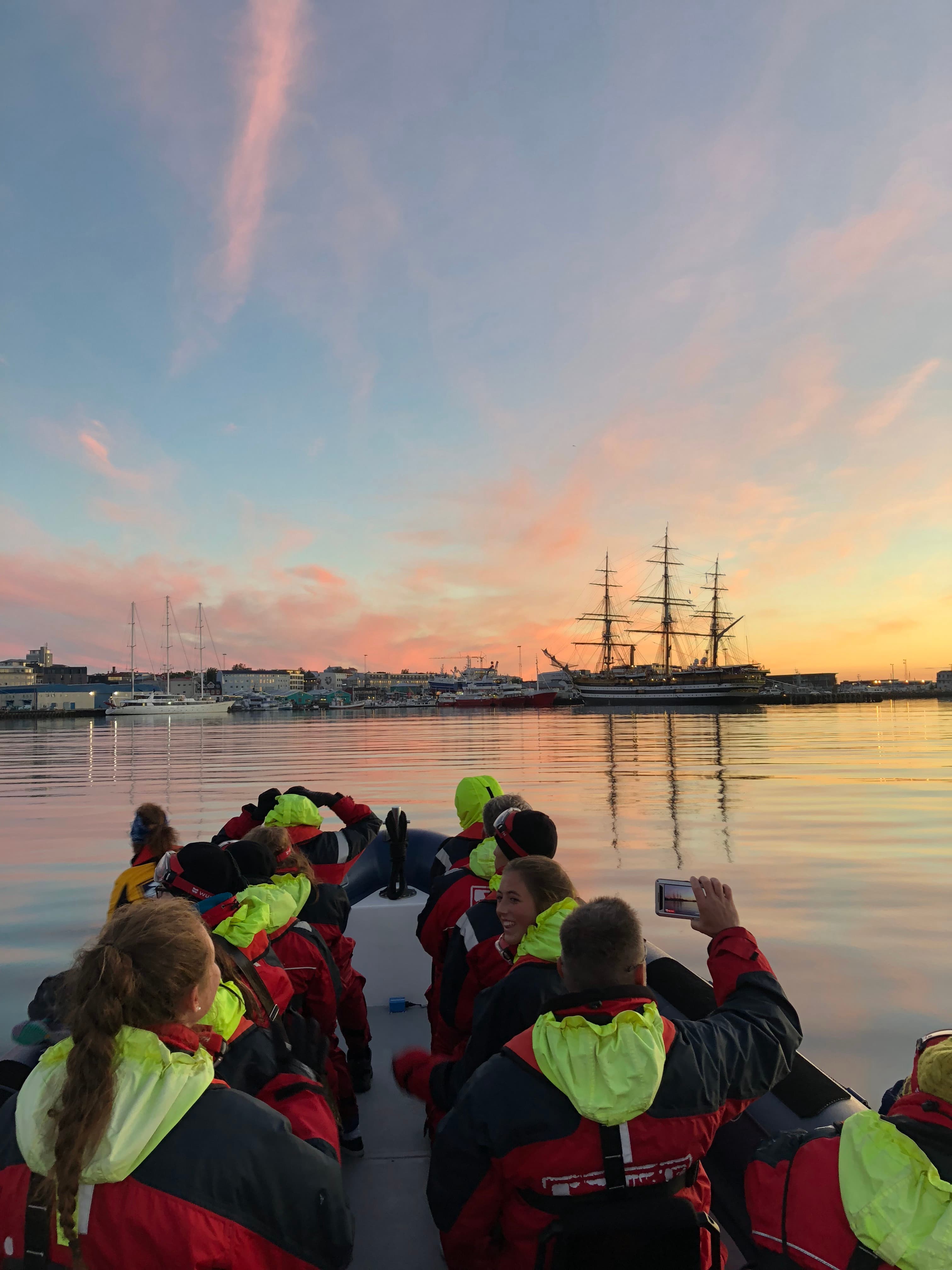 Premium Whales & Midnight Sun - photo 4