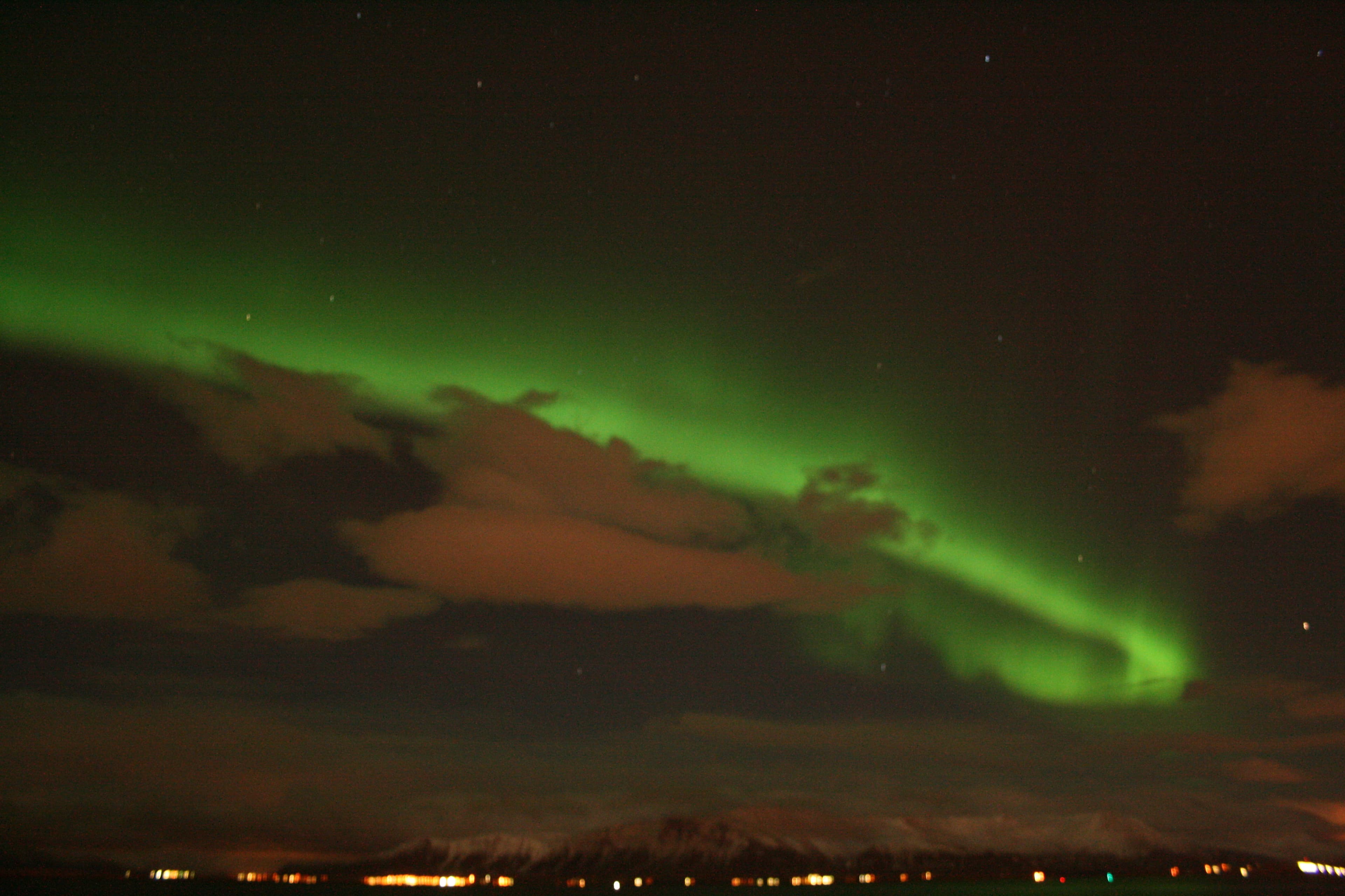 Whale Watching & Northern lights Combo Cruise from Reykjavik - photo 82