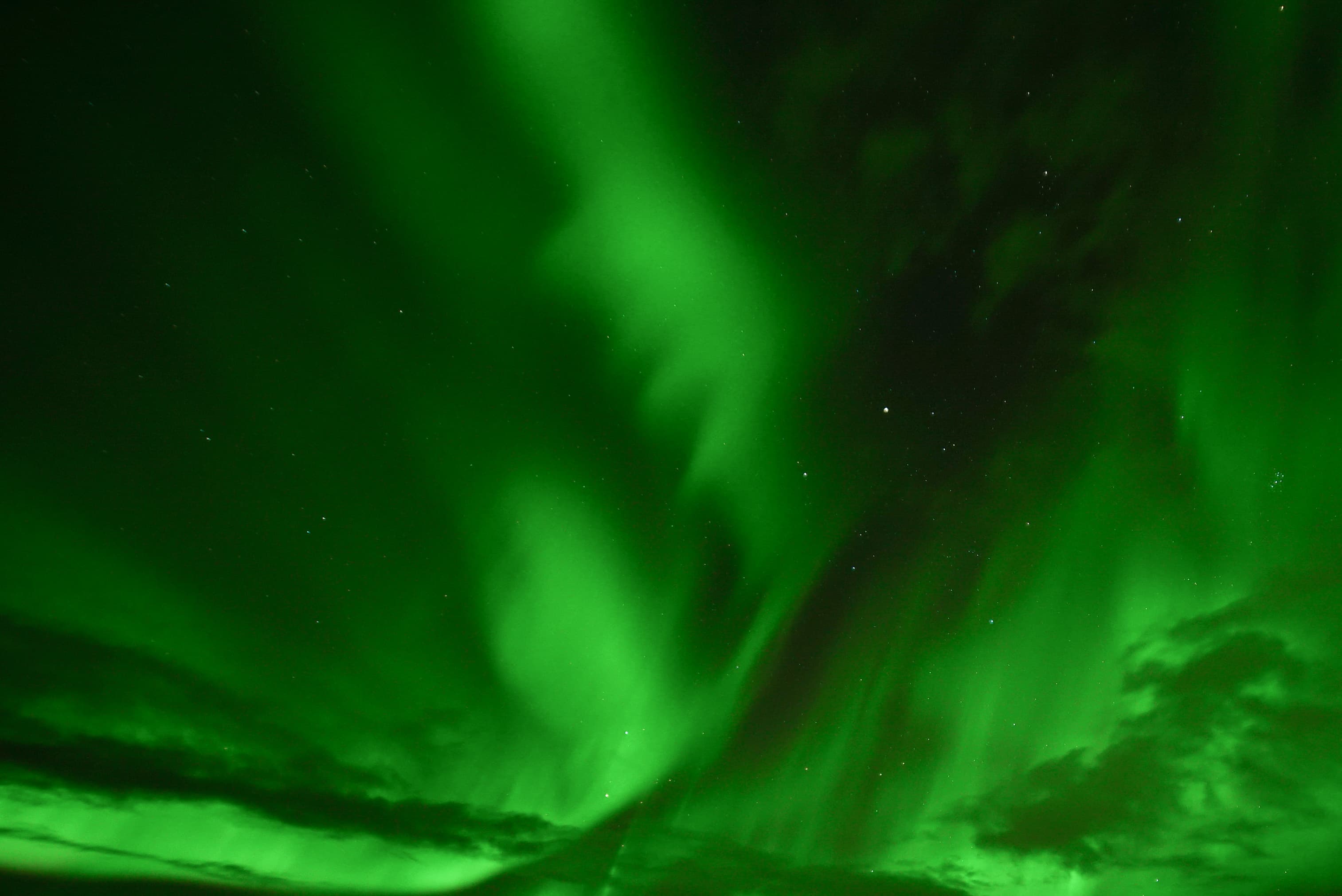 Whale Watching and Northern Lights from Reykjavík - photo 2