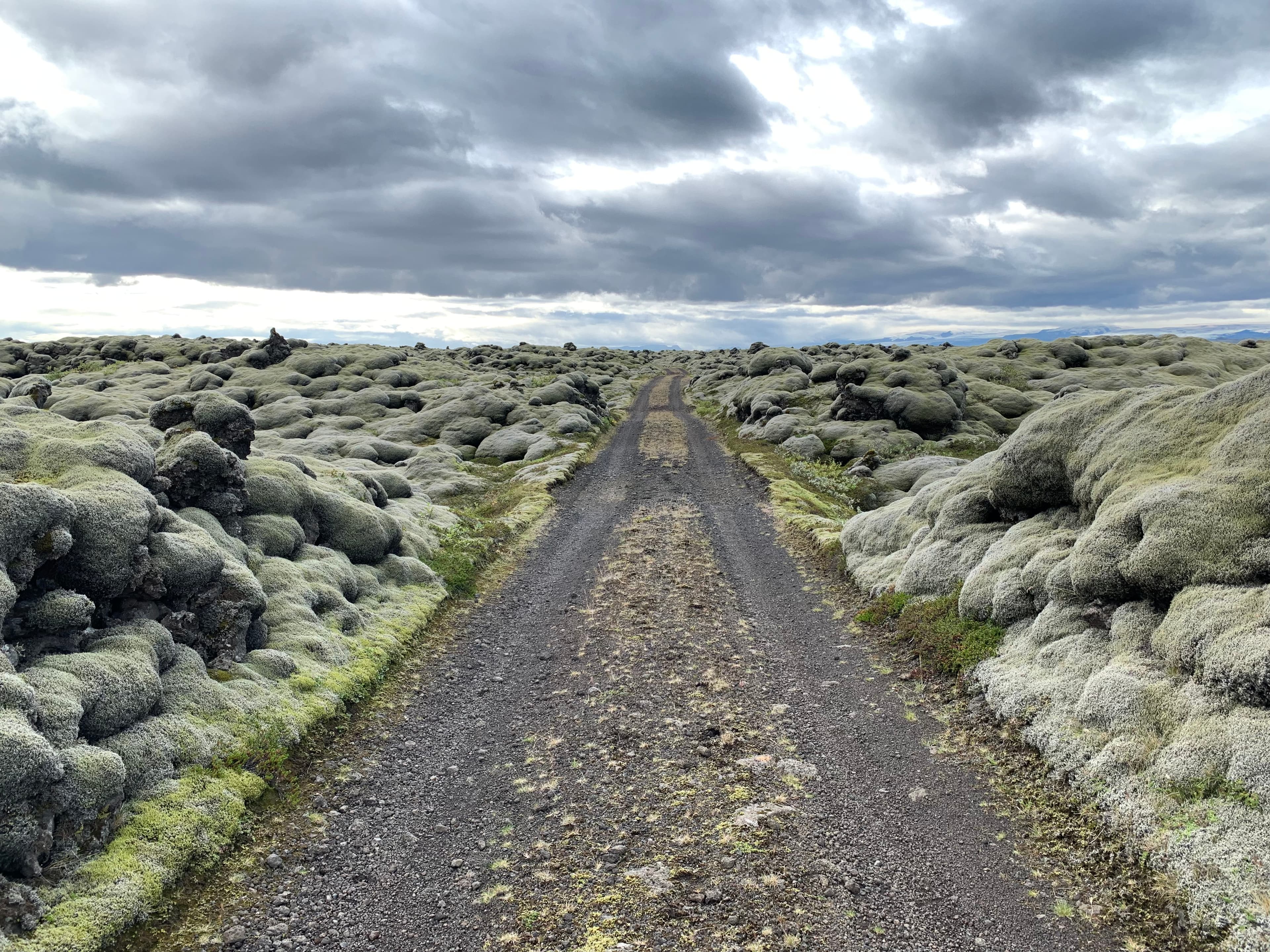 Private Super Jeep with driver guide