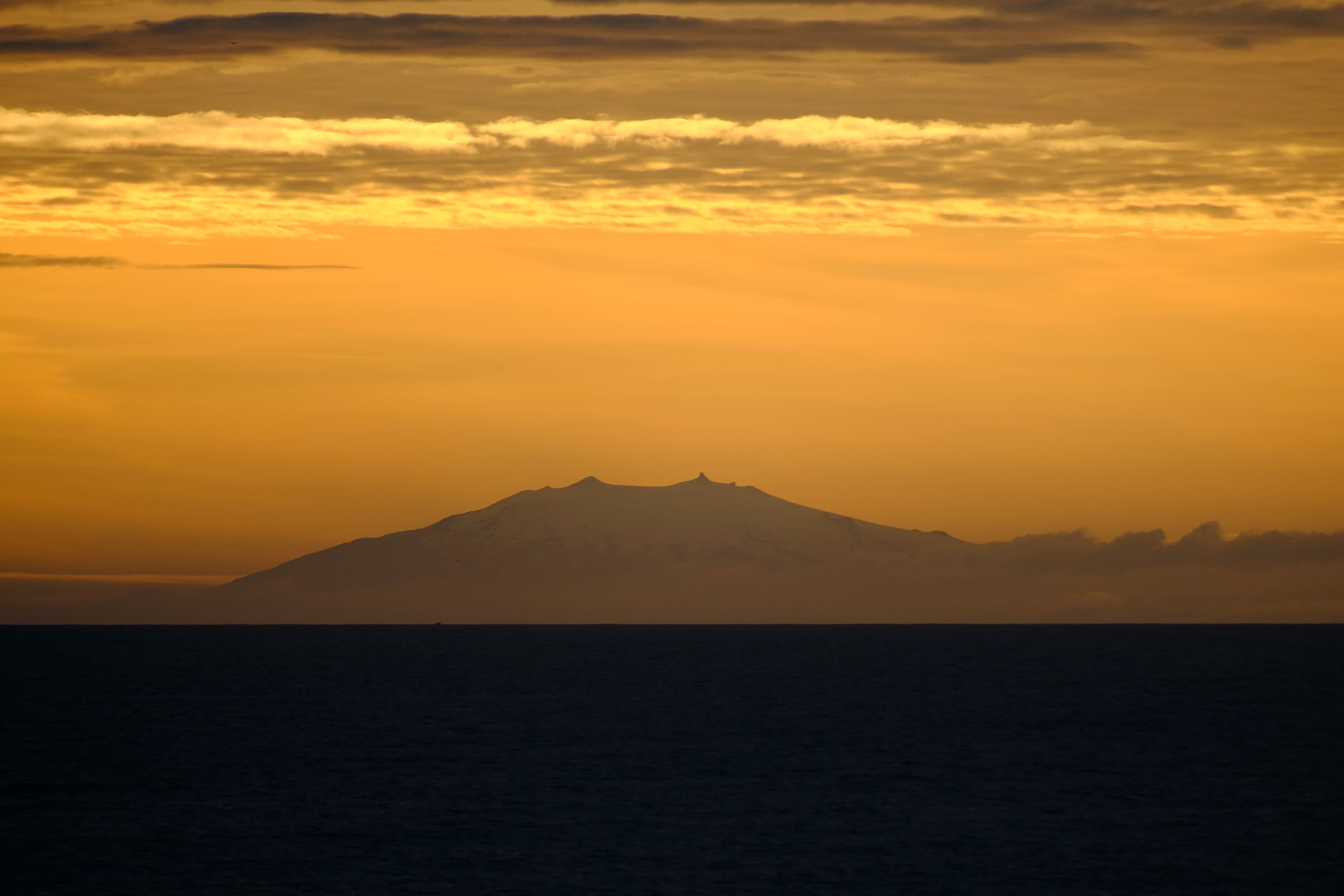 Reykjavík Classic Whales in the Midnight Sun - photo 20