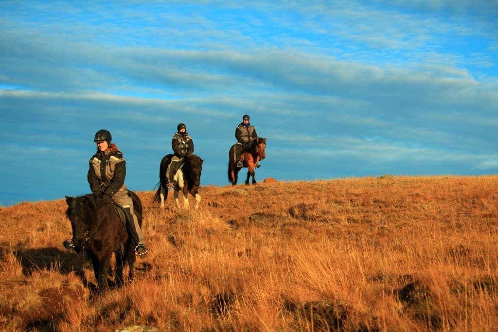 River Delta - photo 9