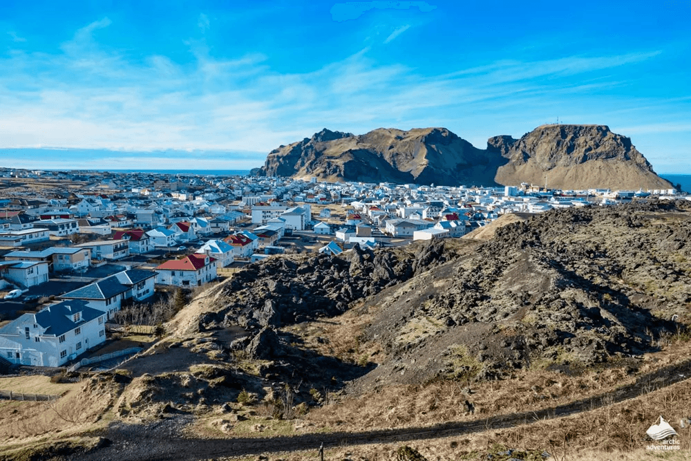 Vestmannaeyjar Day Tour - photo 16