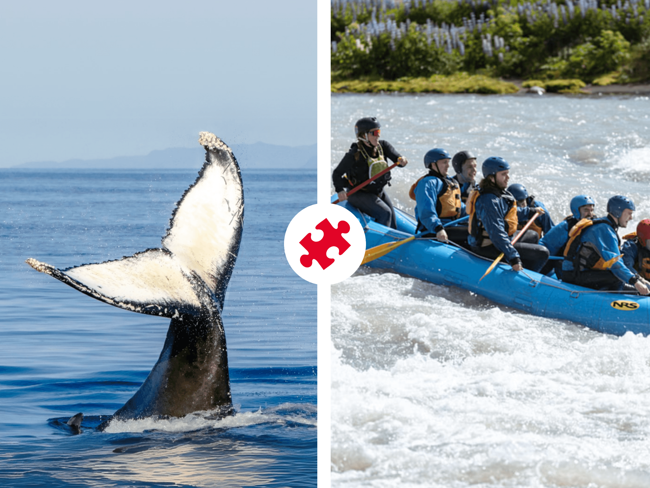Whales & White Water Rafting