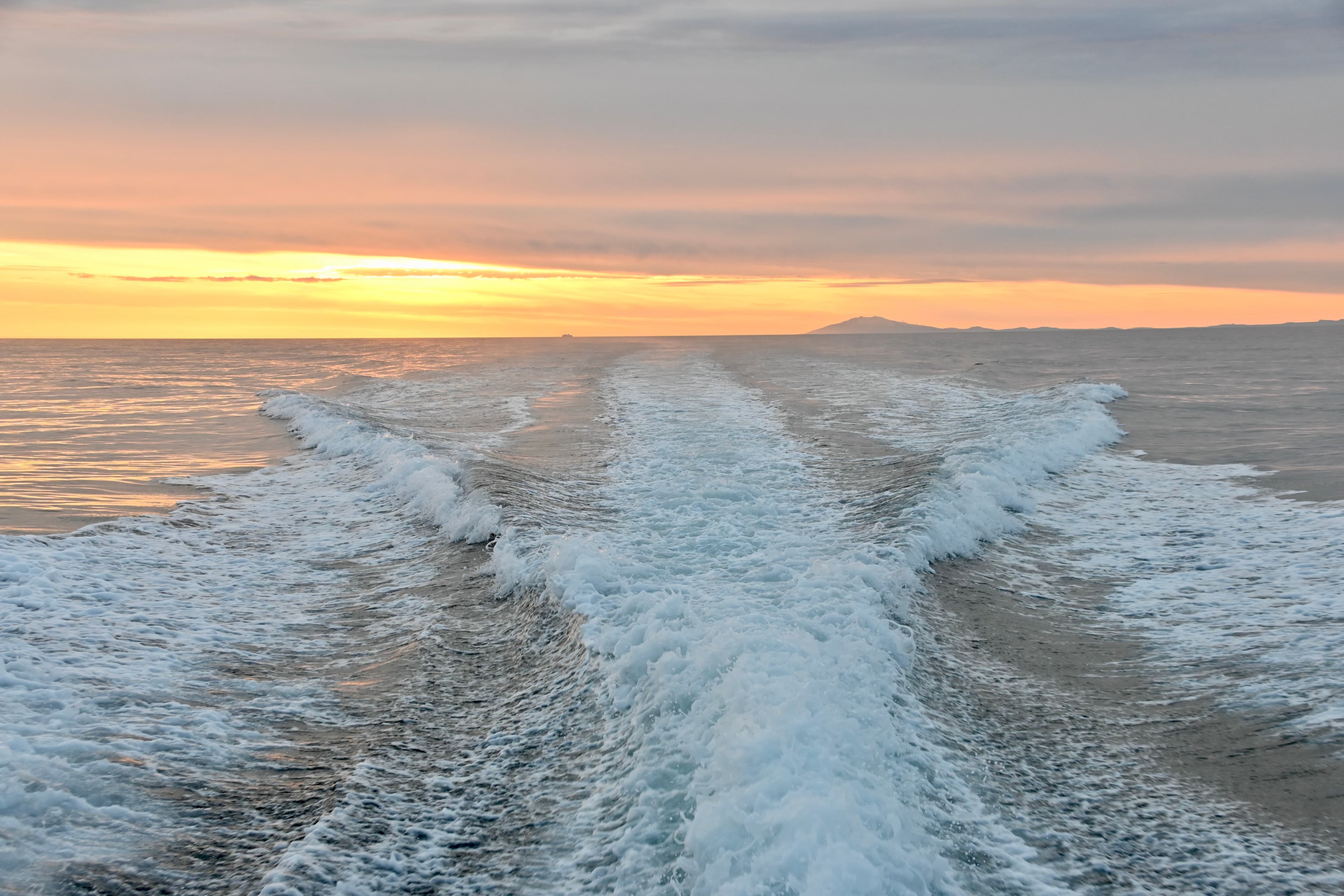 Reykjavík Premium Whales in the Midnight Sun - photo 22