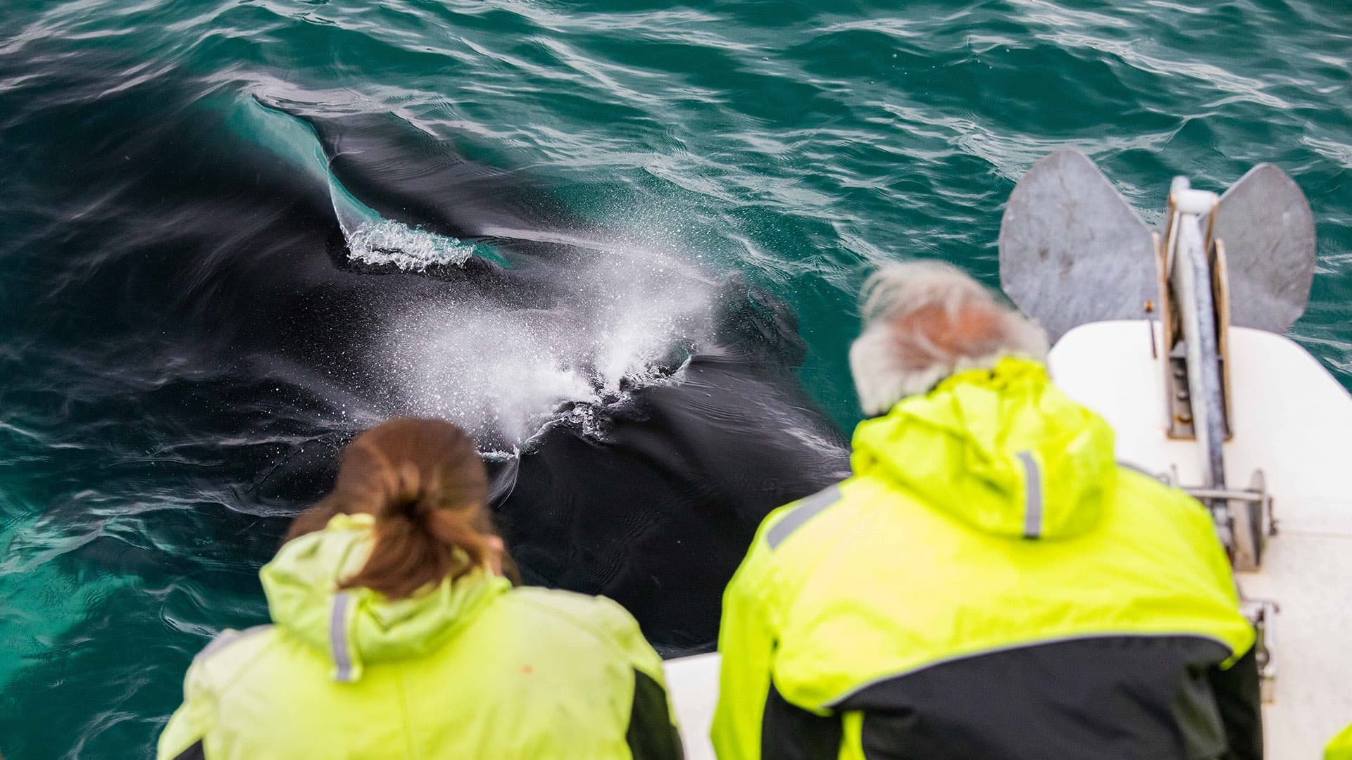 Reykjavik City Walk and Whales - photo 5