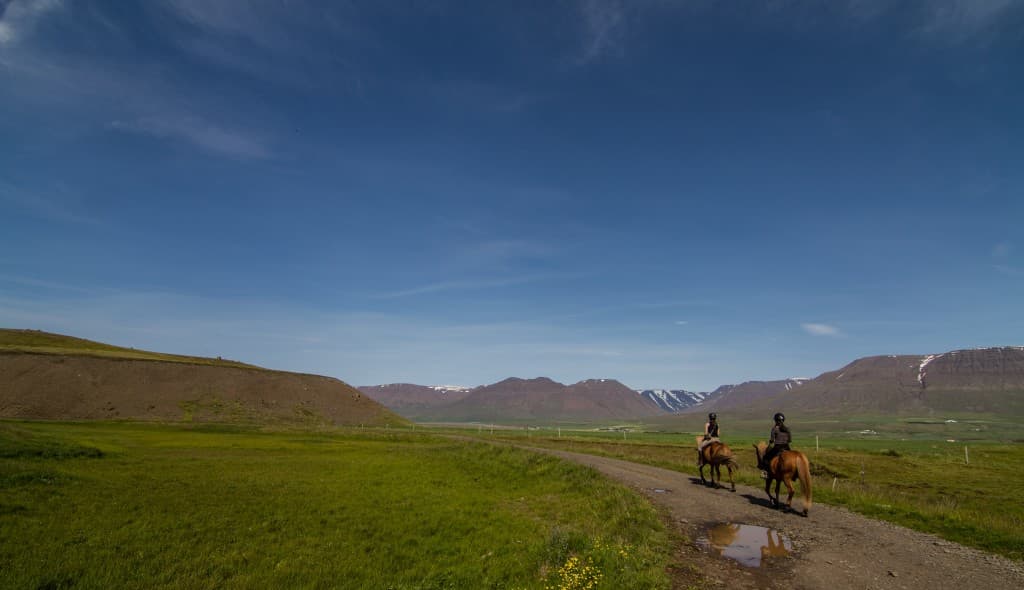 Pleasure in every hoof step - photo 14